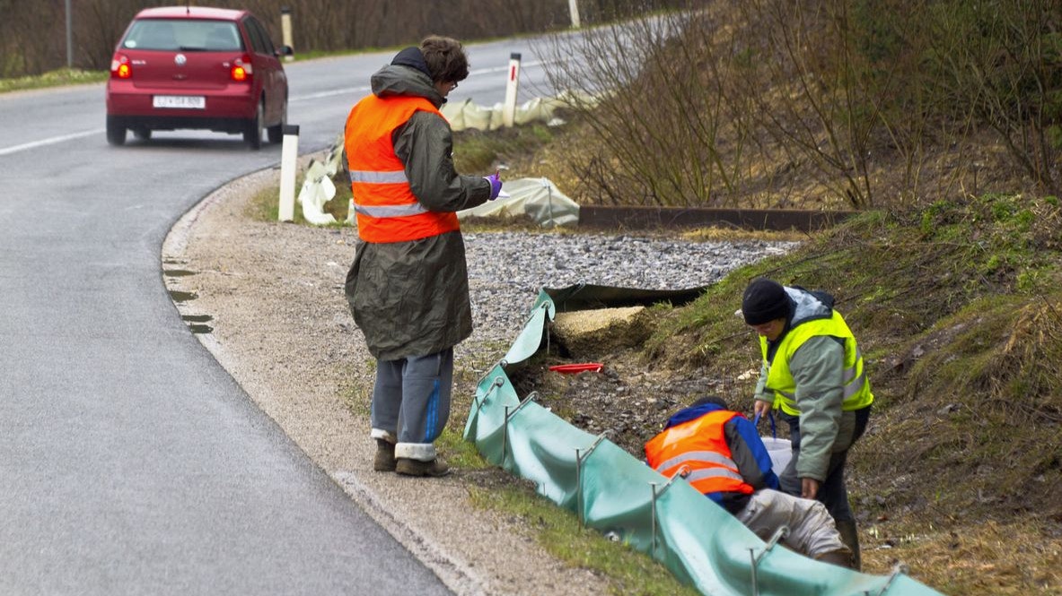 Sogenannte "Amphibien-Zäune" sind nur ein Rettungsbeispiel für Kröten und Salamander. 
