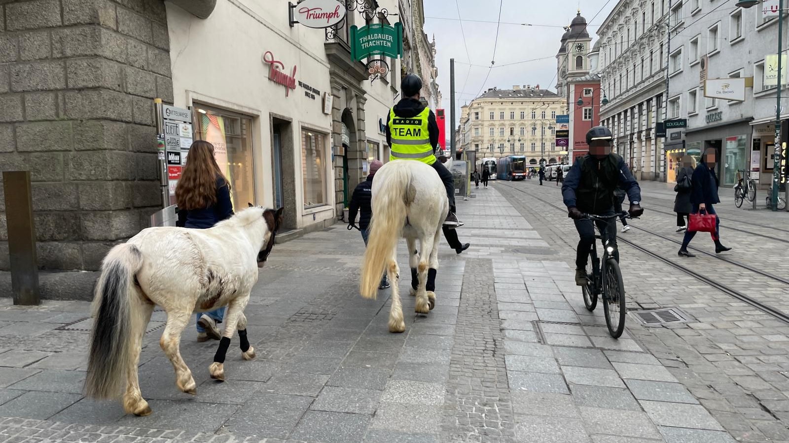 Zwischen Radfahrern und Passanten marschierten Pferd und Pony Richtung Taubenmarkt.