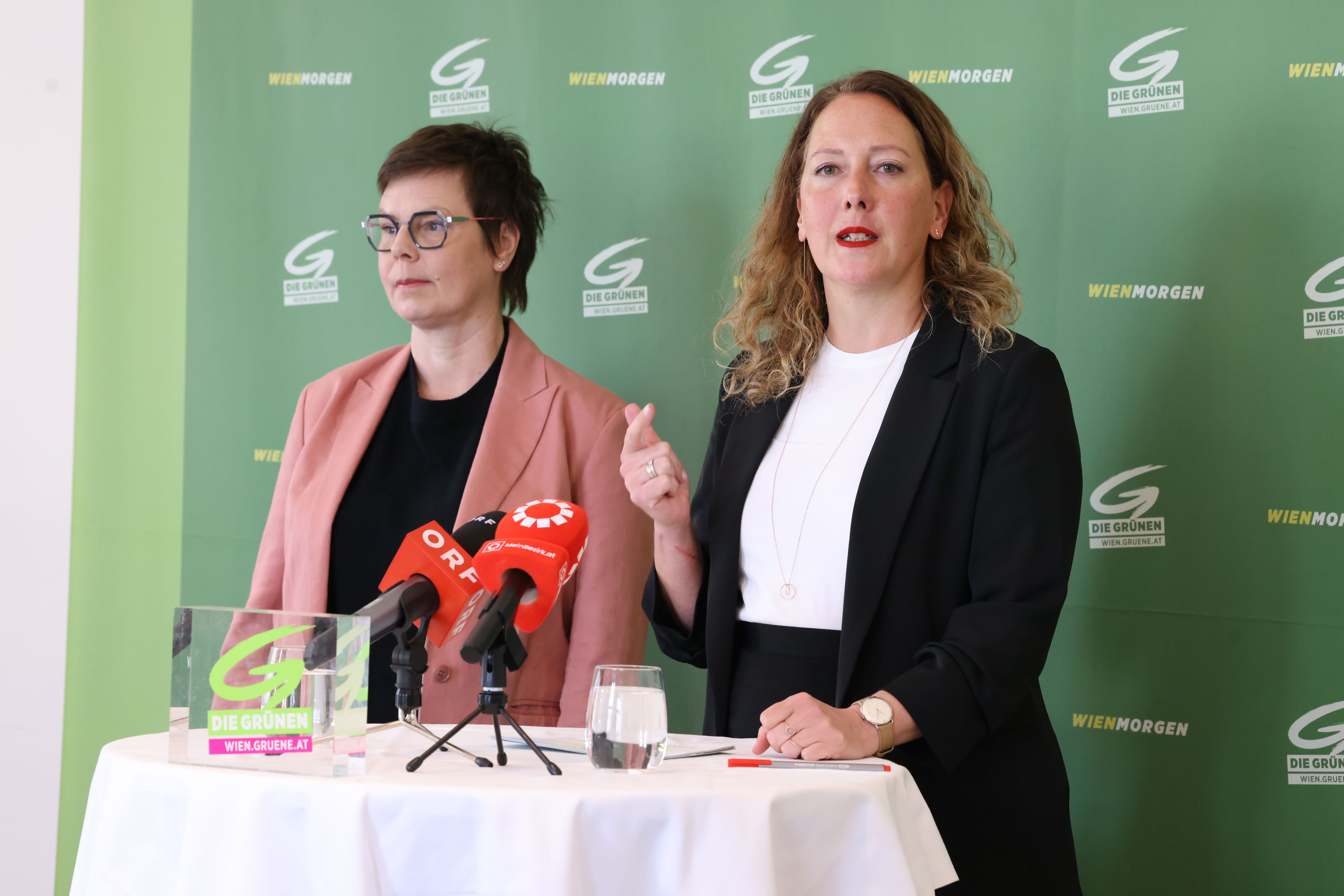 Grünen-Chefin Judith Pühringer, Gesundheitssprecherin Barbara Huemer