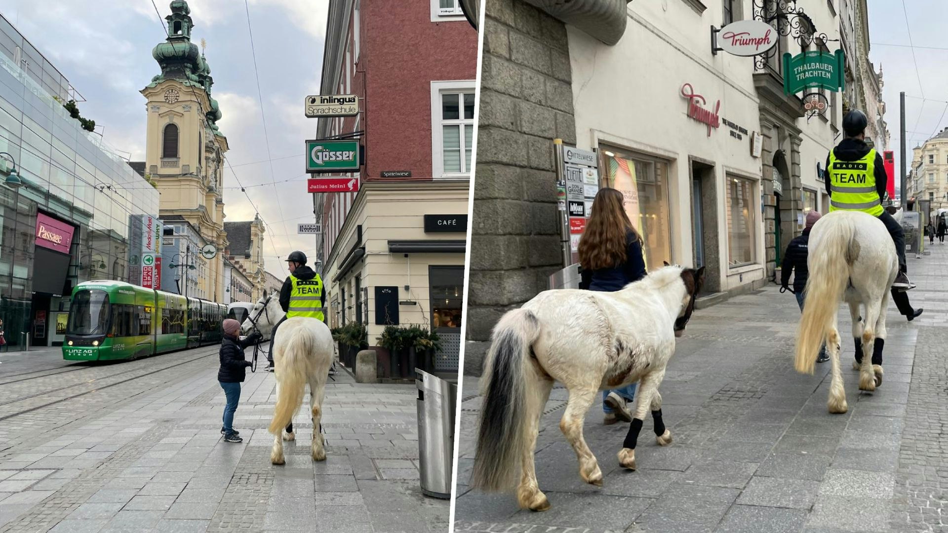 Heute.at - Passanten baff – Radio-Star reitet auf Pferd durch City