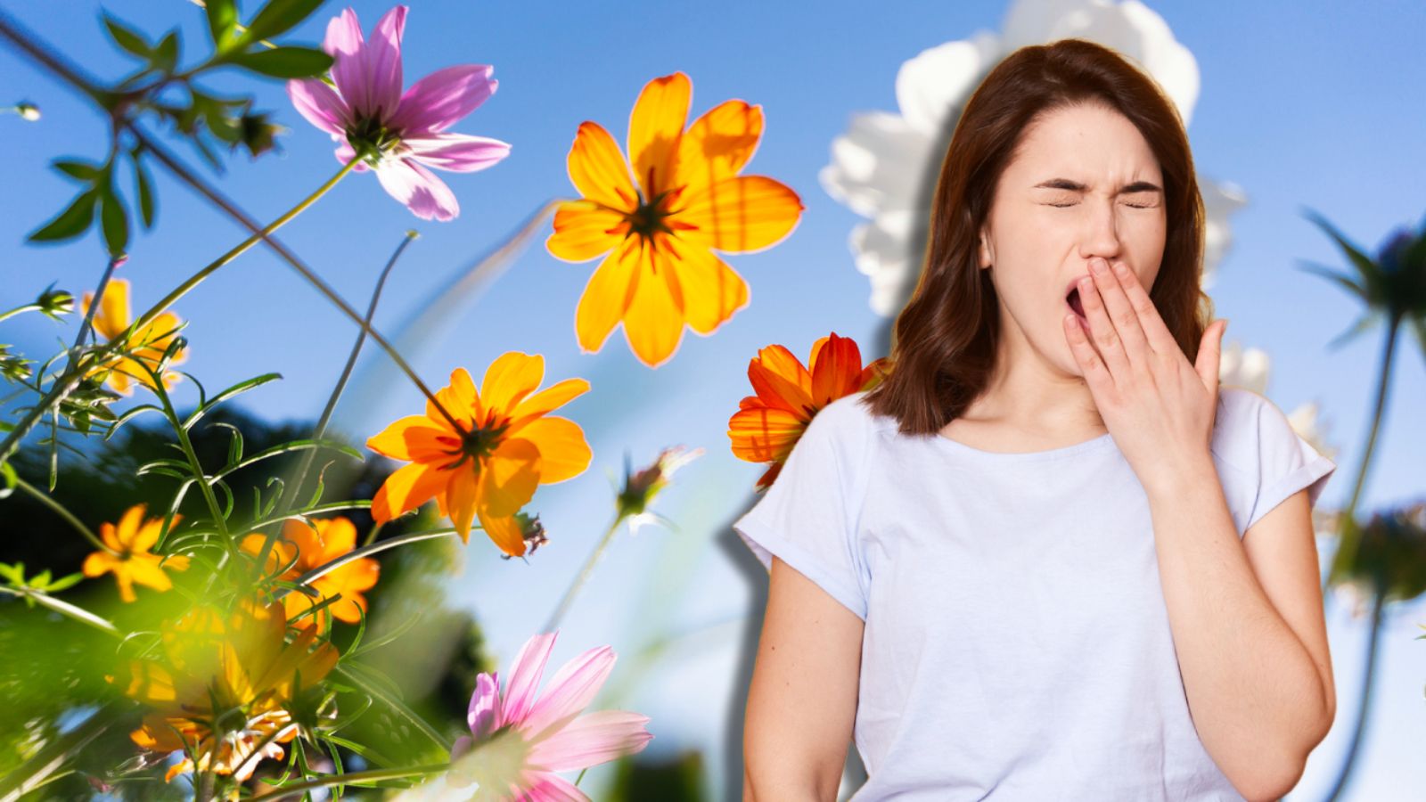 Heute.at - Einbildung! Warum Frühjahrsmüdigkeit nicht existiert