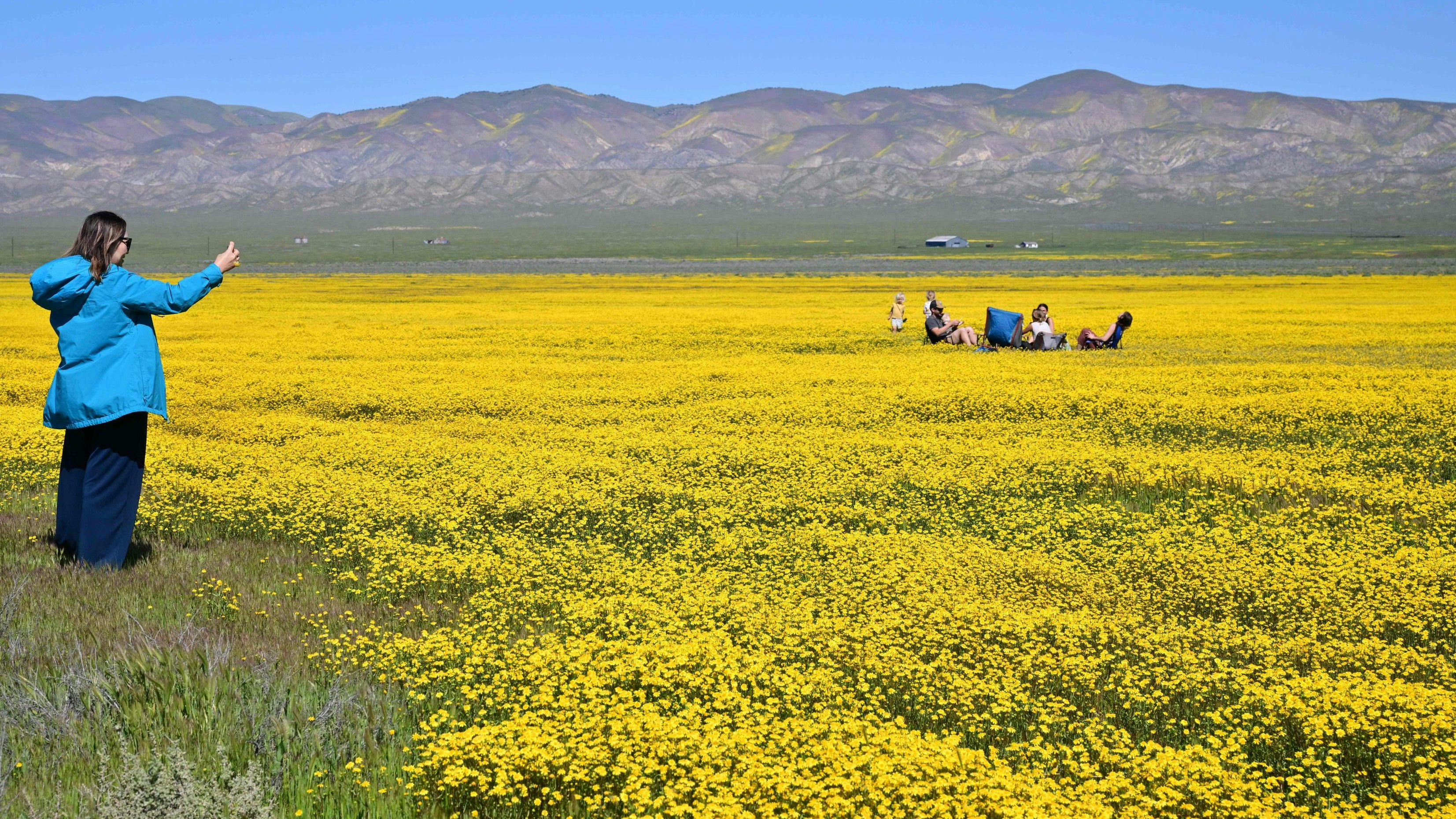 Heute.at - Naturwunder – Tal des Todes mit bunter Blütenpracht