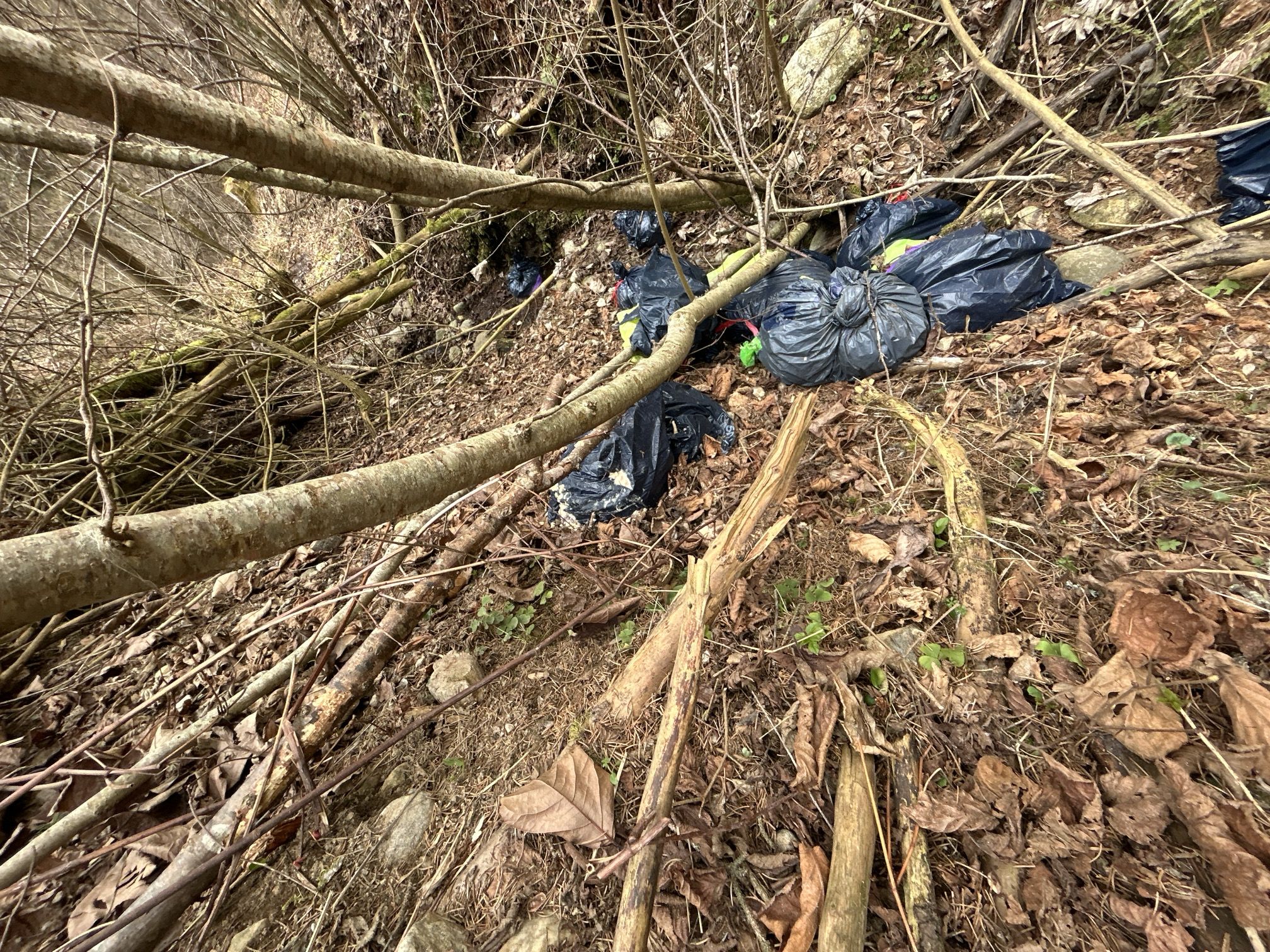 Fast dreißig Säcke mit pürierten Speiseresten wurden in einem Waldstück entsorgt.