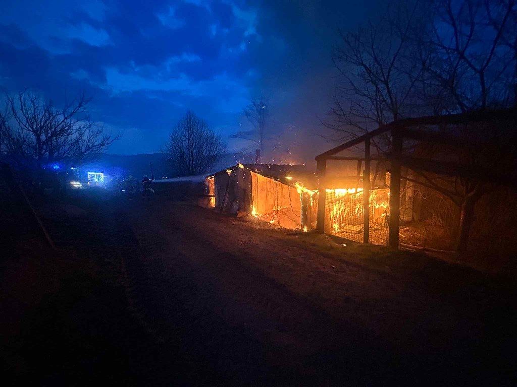 Ein Vogelkäfig war in Brand geraten.