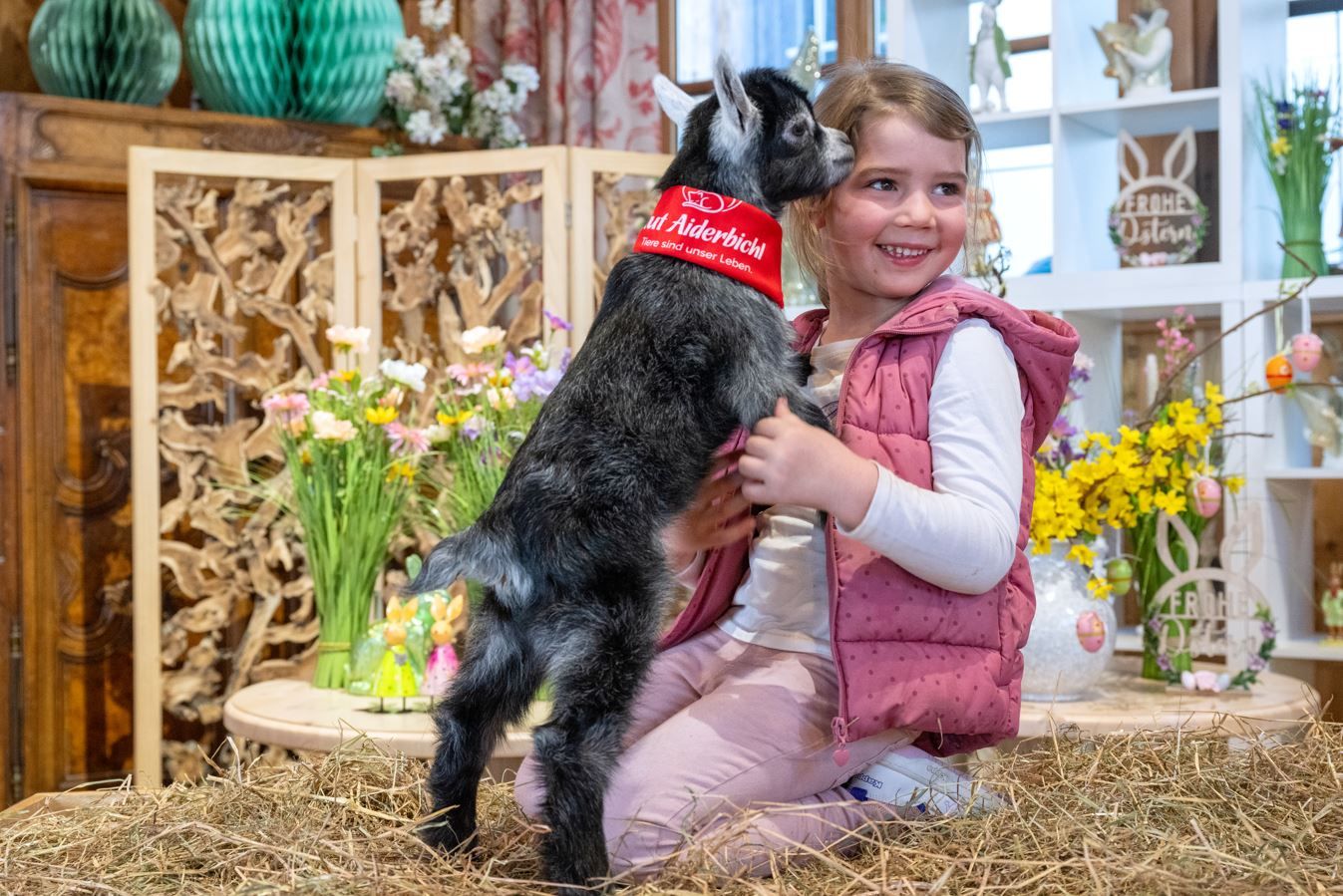 Heute.at - Wenn der Frühling anklopft, hoppelt dort der Osterhase