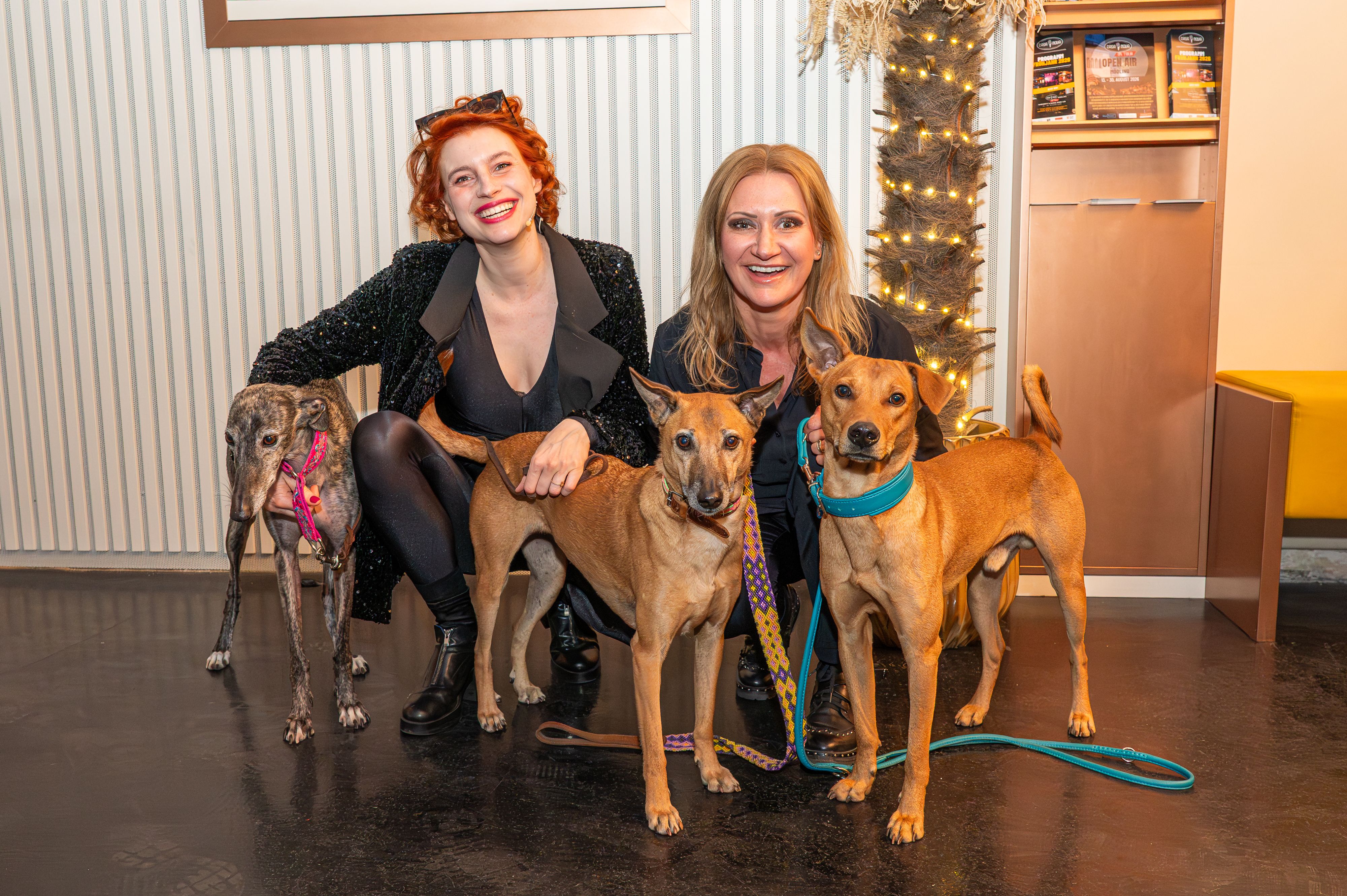 Heute.at - Leinen los für DOGS – Kabarett-Premiere im CasaNova