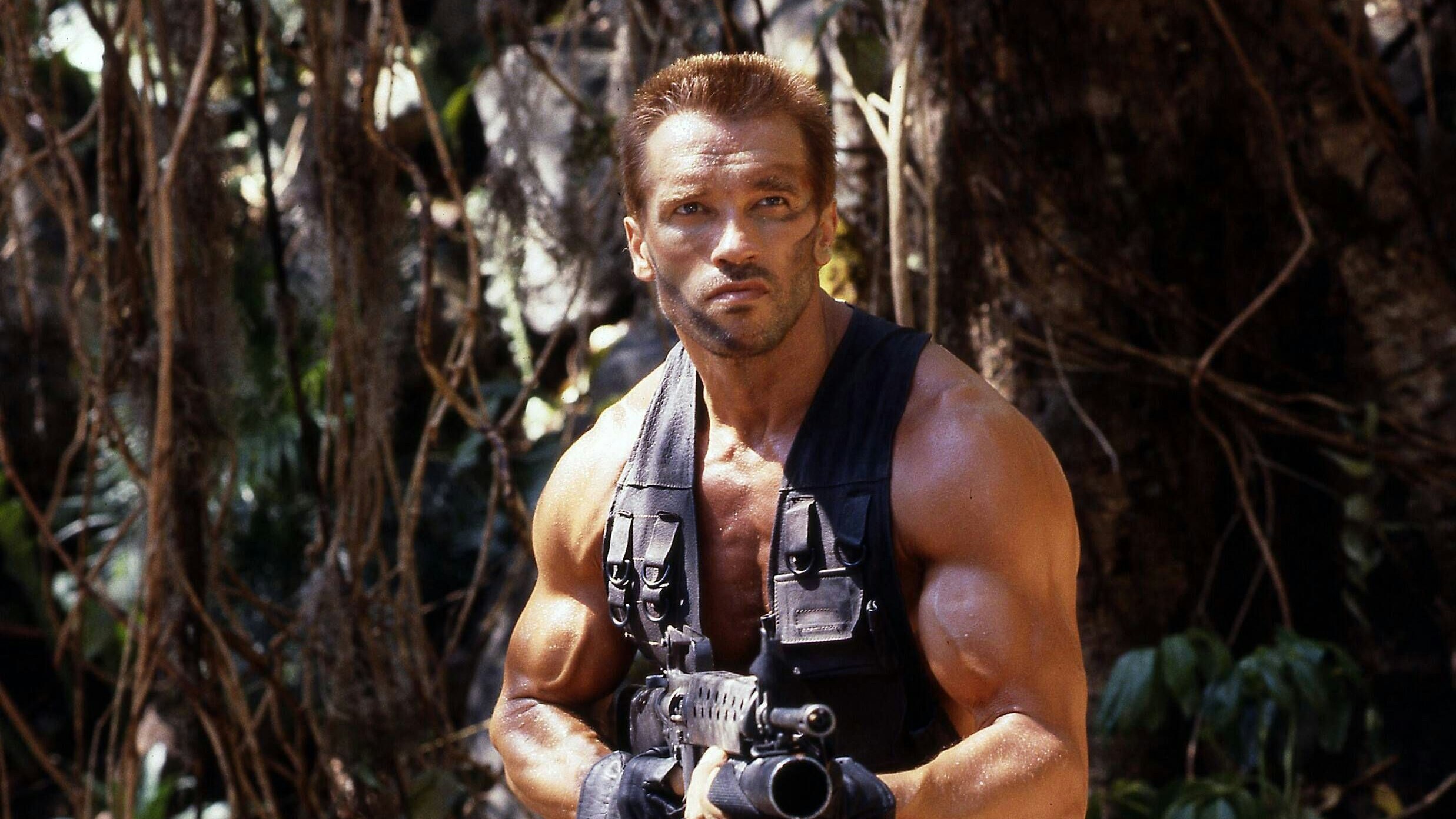 Auch eine Fortsetzung des Kultfilms "Predator" ist möglich.