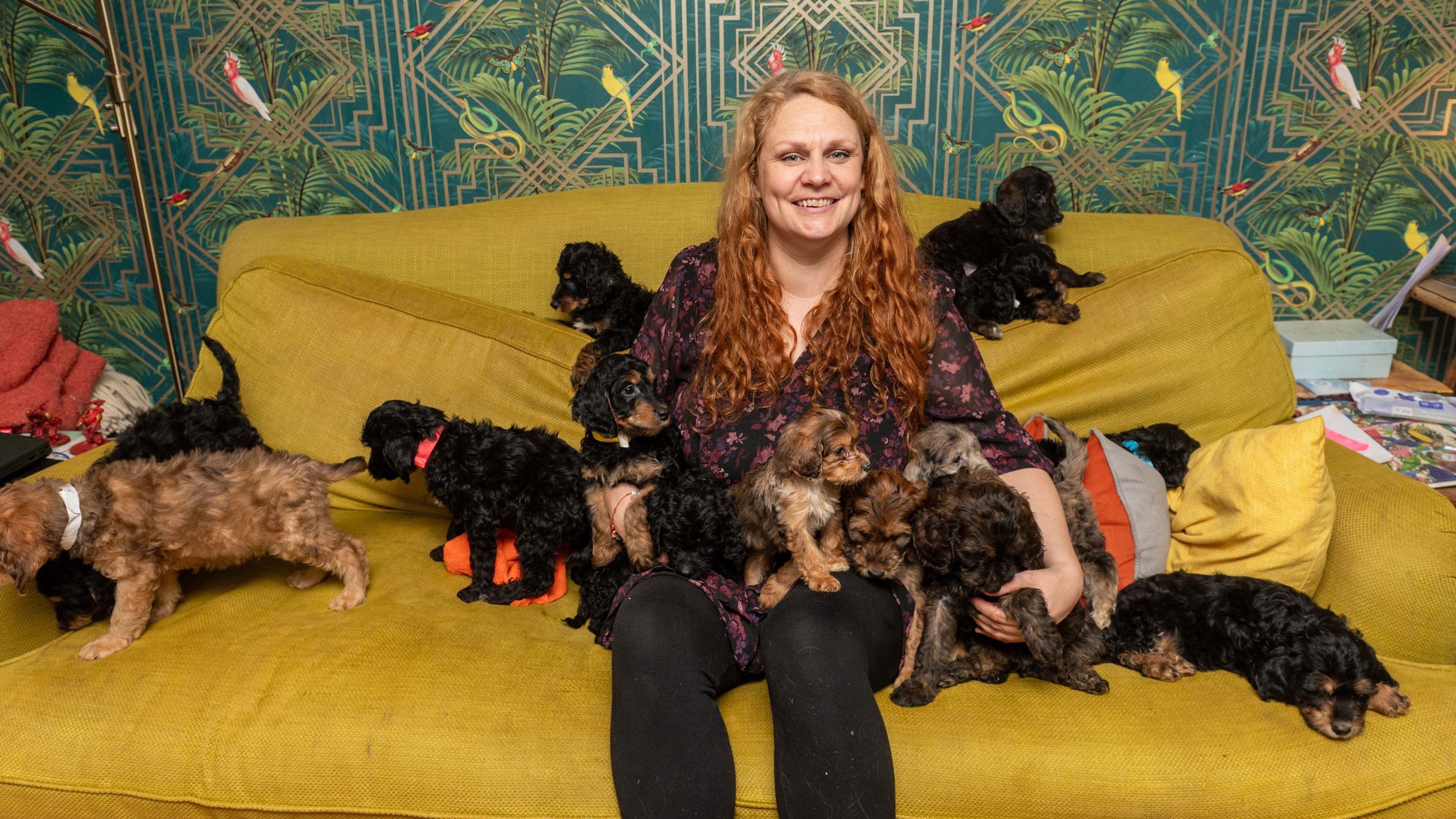 Die kleinen Goldstücke sind bereits alt genug für die Vermittlung.