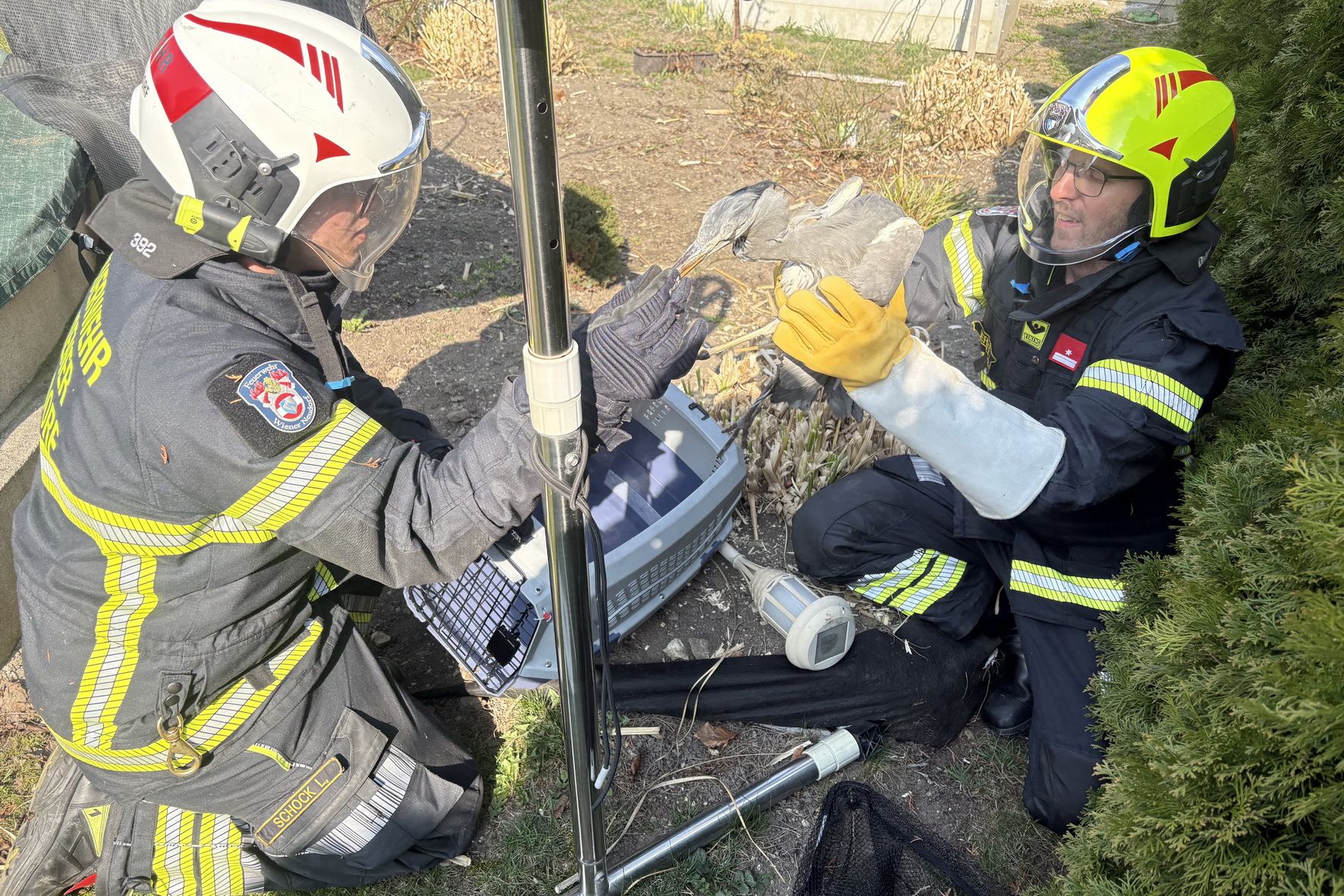 Die Freiwillige Feuerwehr Wiener Neudorf wurde zu einer Tierrettung gerufen.
