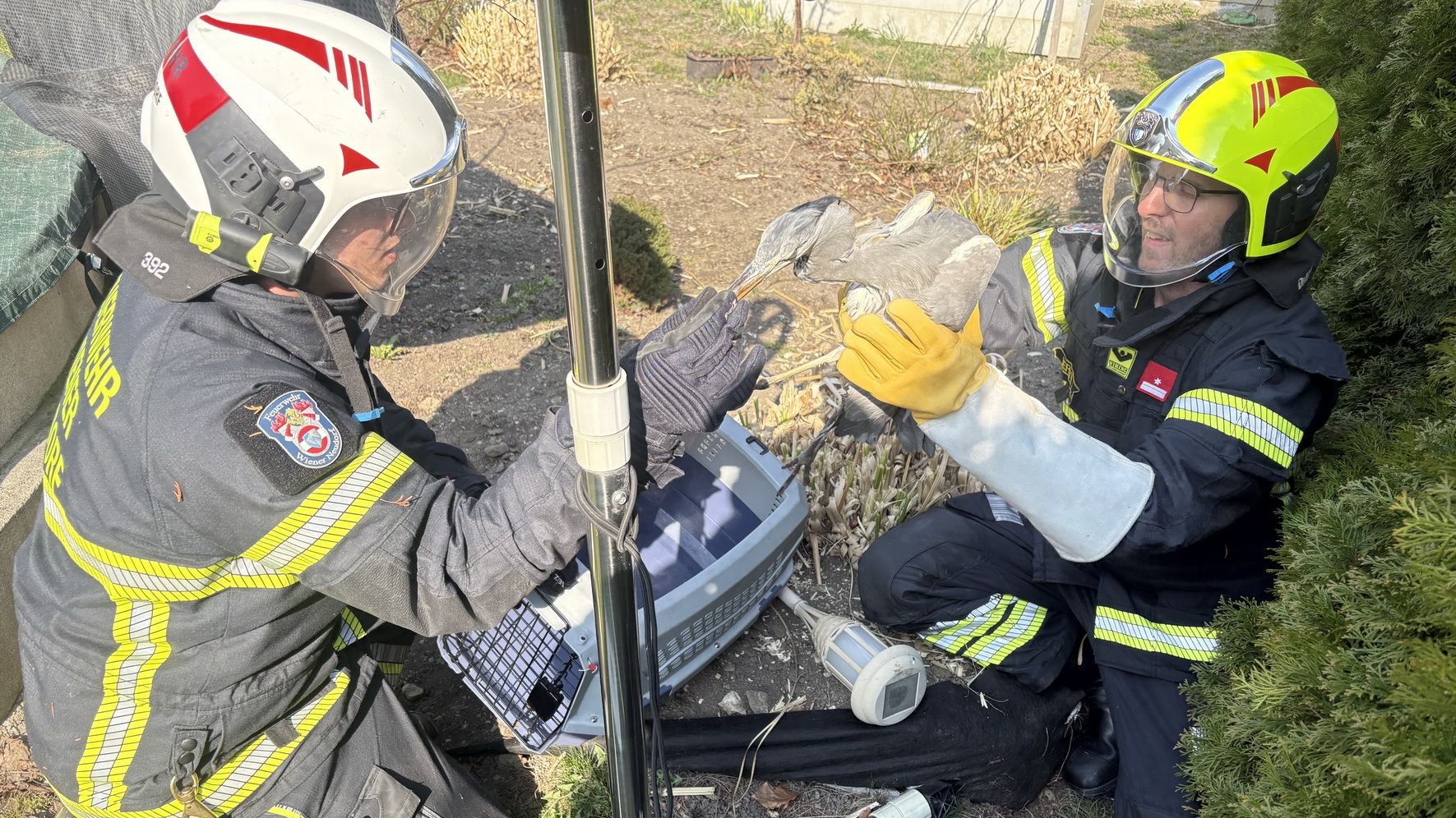 Die Freiwillige Feuerwehr Wiener Neudorf wurde zu einer Tierrettung gerufen.