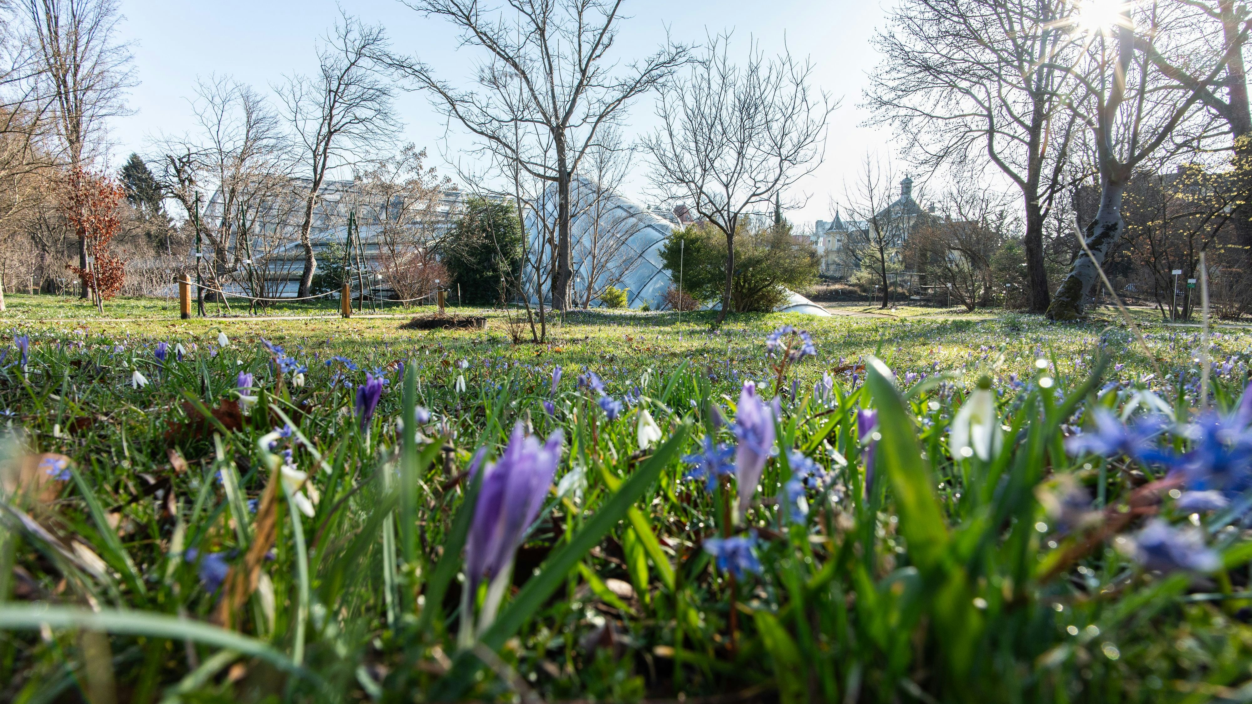 Frühlingshafter Sonnenaufgang beim botanischen Garten in der Grazer Innenstadt im südösterreichischen Bundesland Steiermark am 11.03.2026. // Springtime sunrise at the botanical garden in Graz city center in the southern Austrian state of Styria on March 11, 2026.