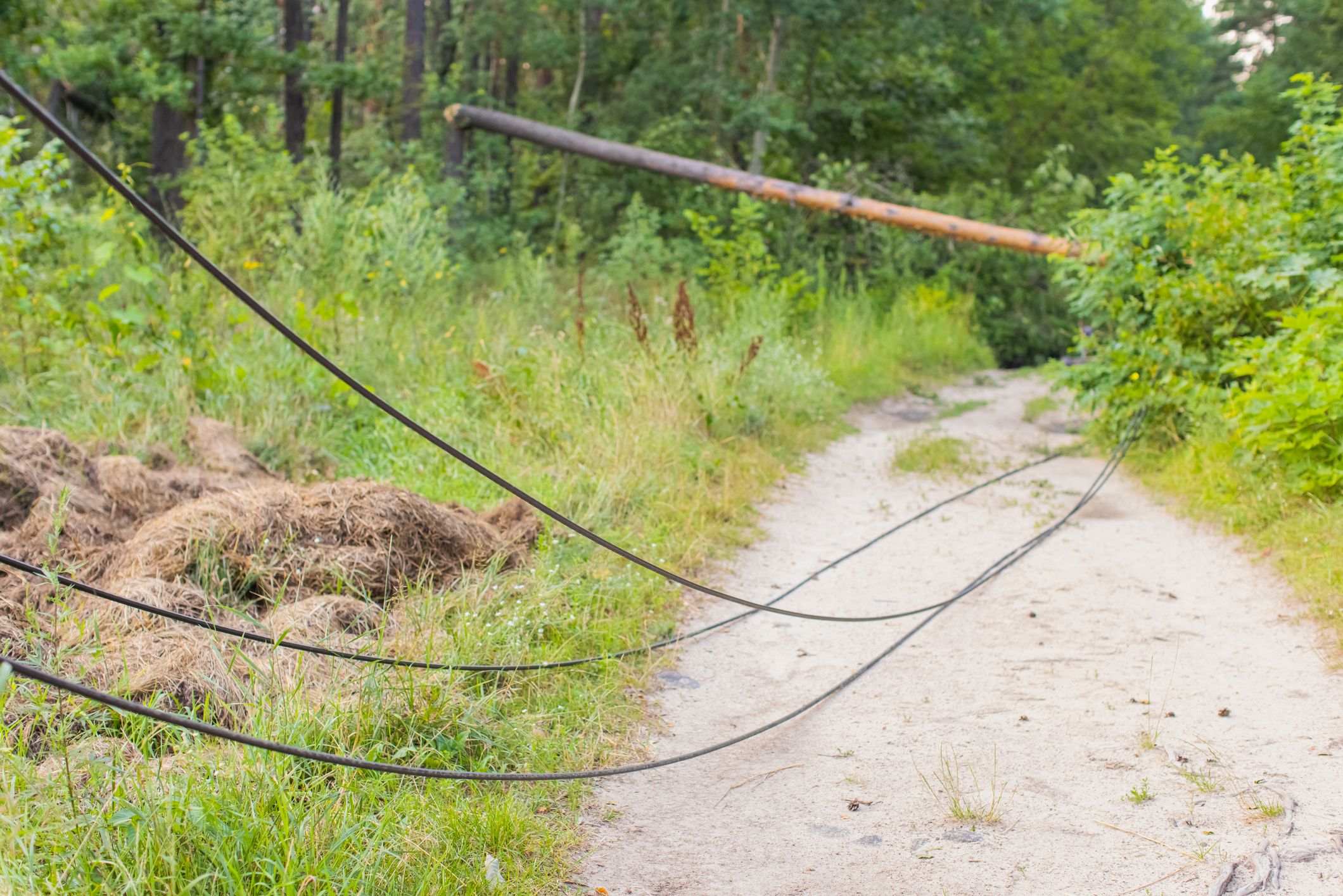 Die abgerissene Stromleitung hatte schon mehrere Glutnester ausgelöst. 