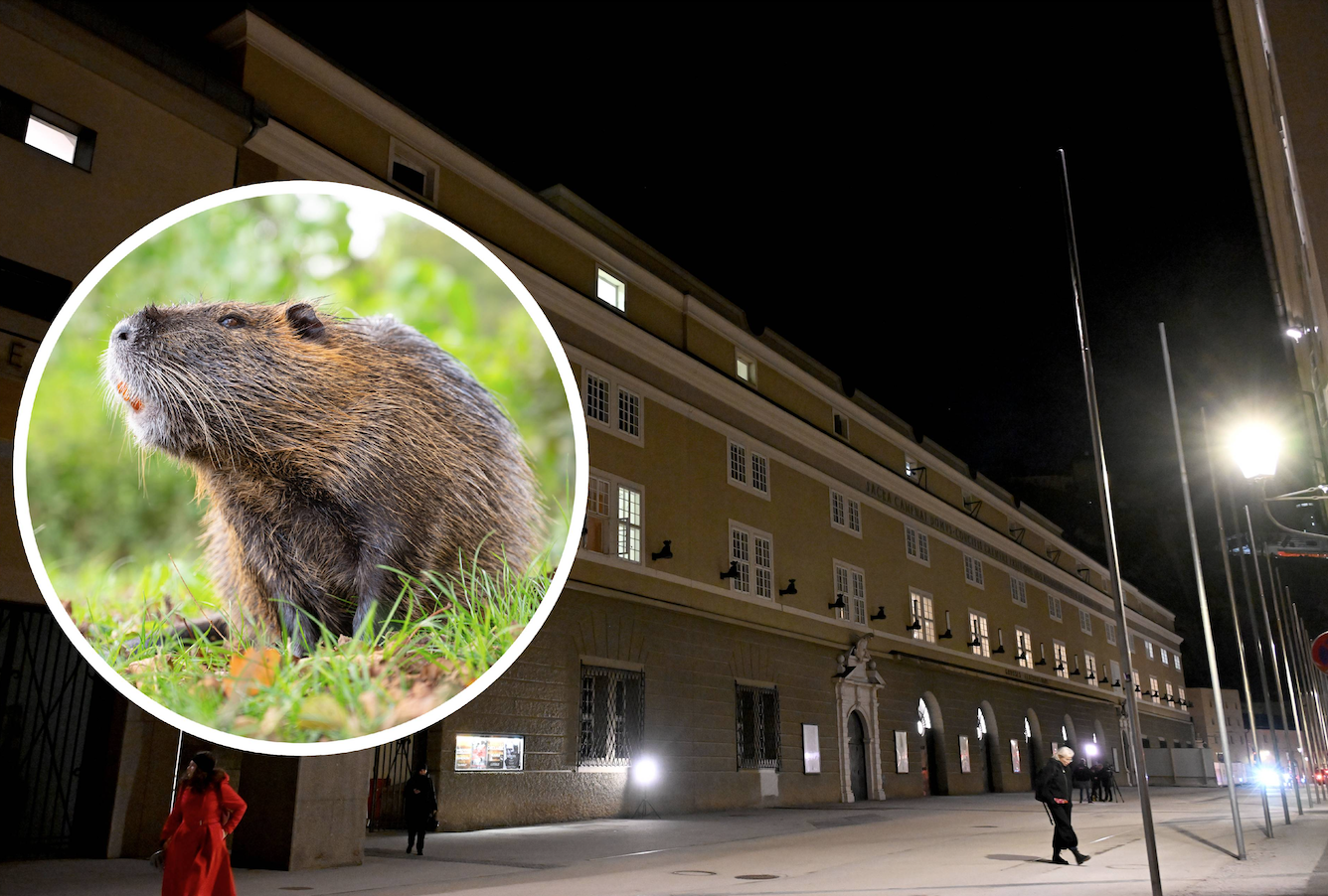 Der Biber wurde vom Dach des Salzburger Festspielhauses gerettet.