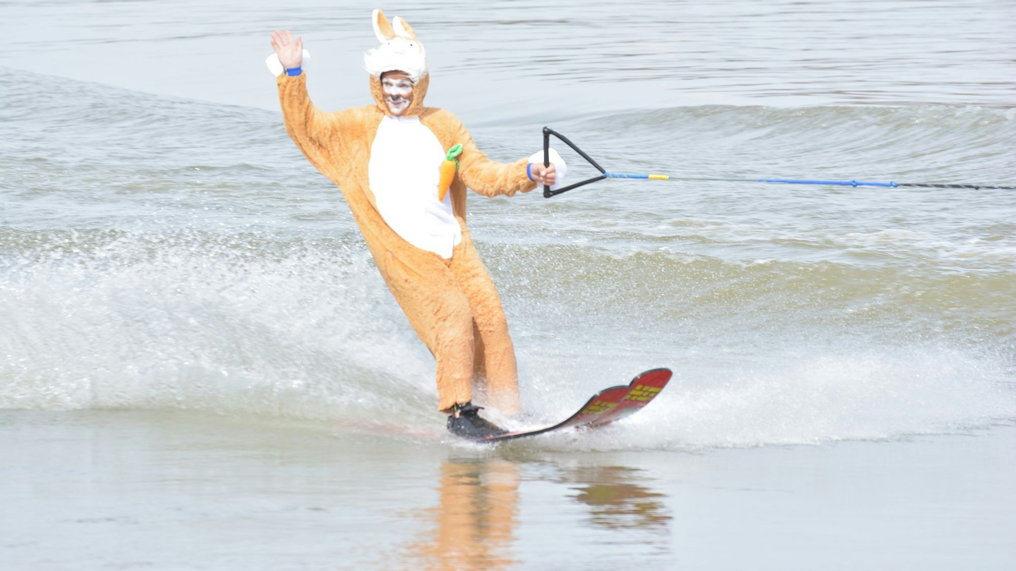 Tradition in Tulln: Der Osterhase braust auf Wasserski über die Donau herbei. Danach ist er mit dem Tulli Express unterwegs – und er hat natürlich Ostereier und süße Kleinigkeiten für die Kinder im Gepäck.