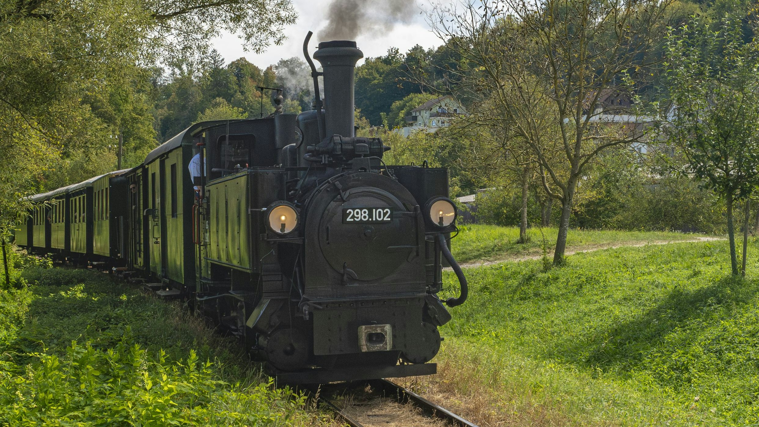 Beim Versuch, ihren Hund anzuleinen, beugte sich die Frau über die Gleise – die Steyrtalbahn streifte sie am Kopf.