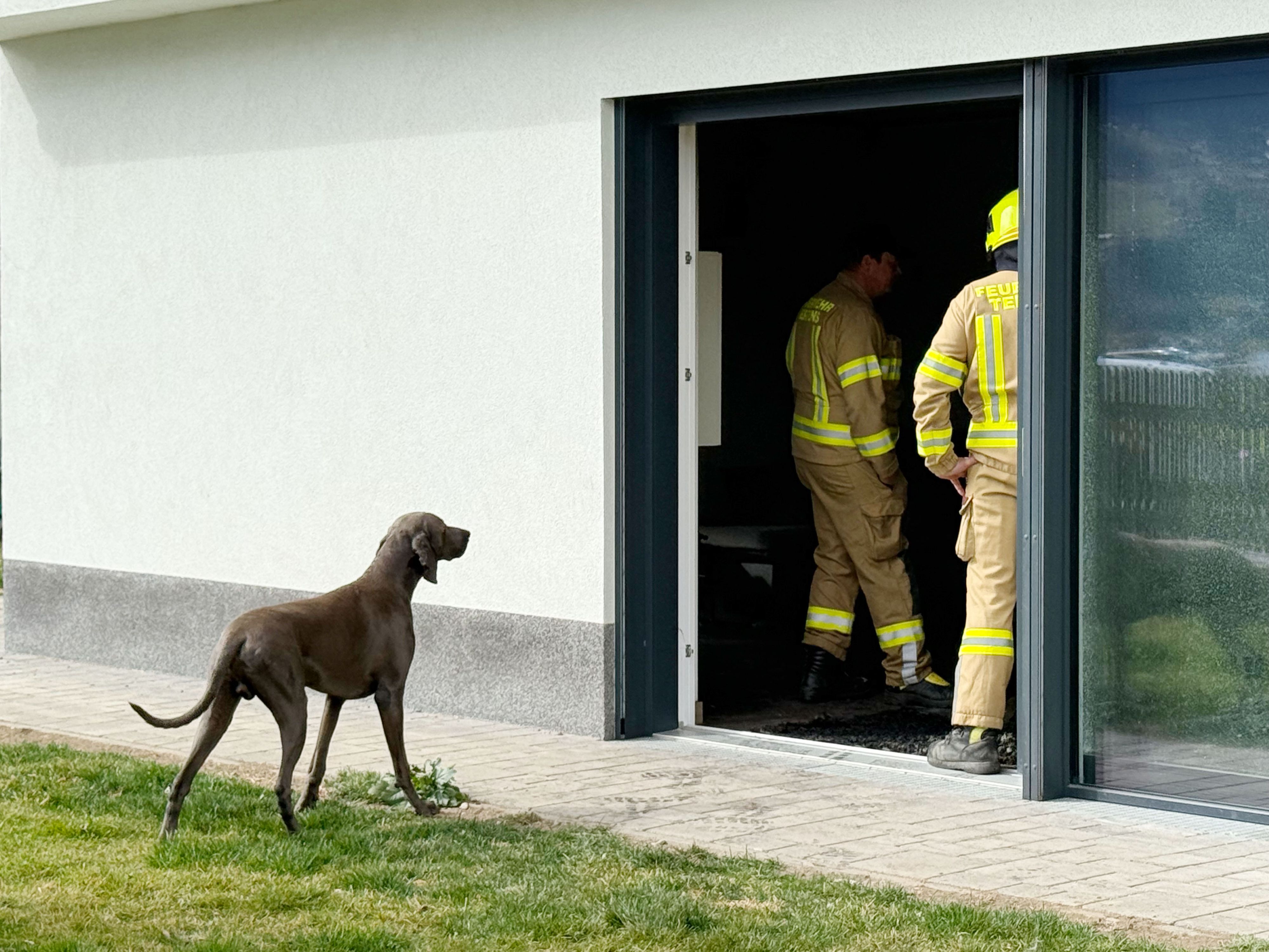 Der Hund konnte gerettet werden.