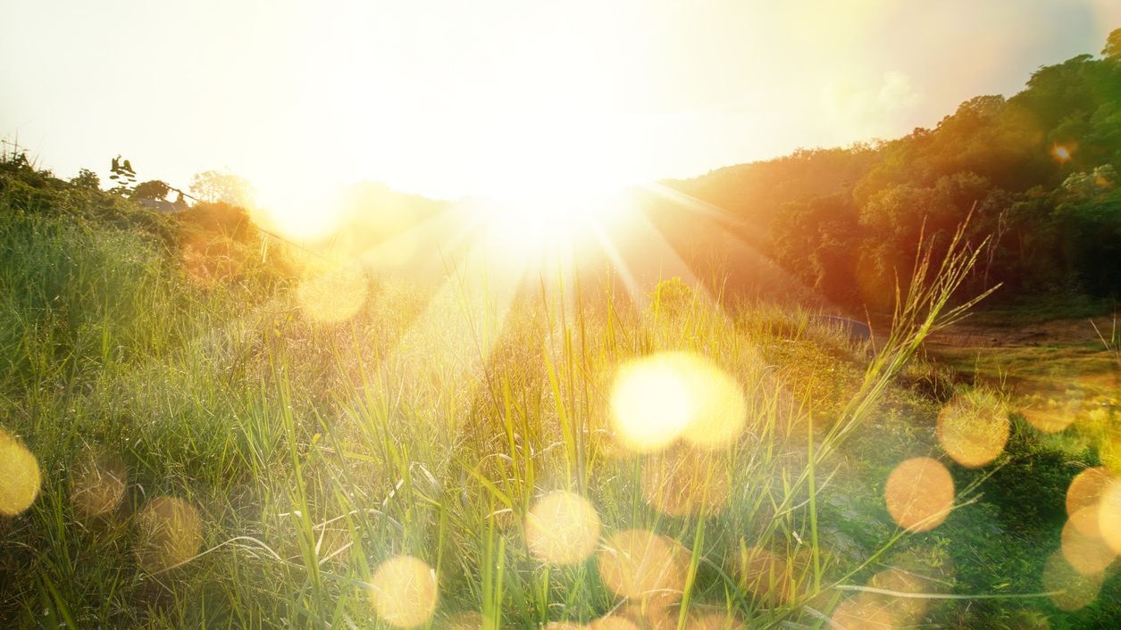 Meadow landscape refreshment with sunray and golden bokeh.