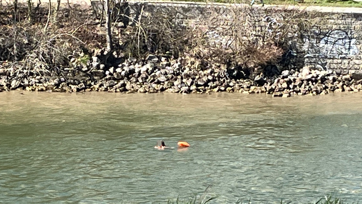 Heute.at - Badespaß in Donaukanal – Wienerin genießt Frühling