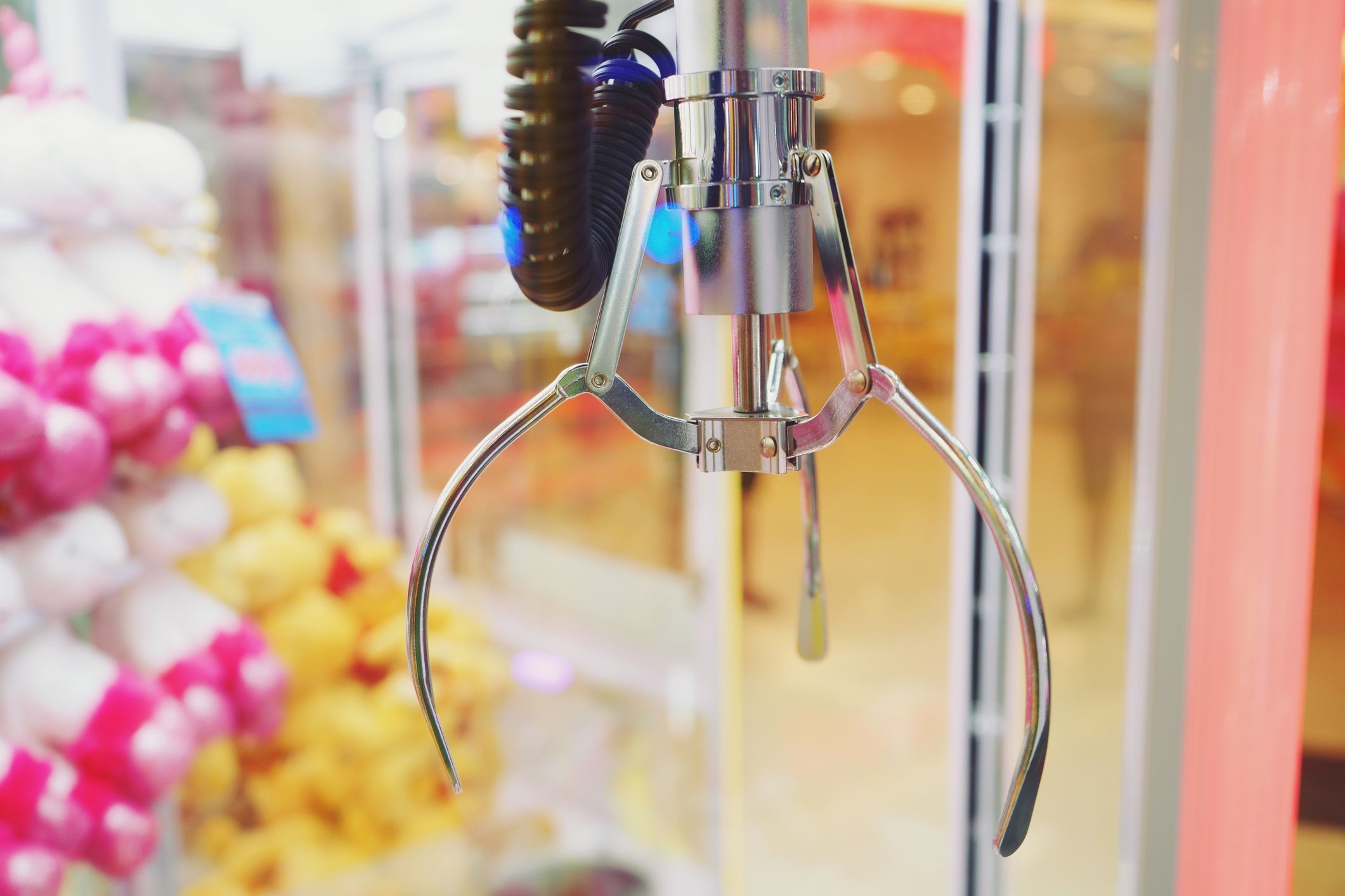 In dem Greifautomaten konnten lebende Hamster gegriffen werden. 