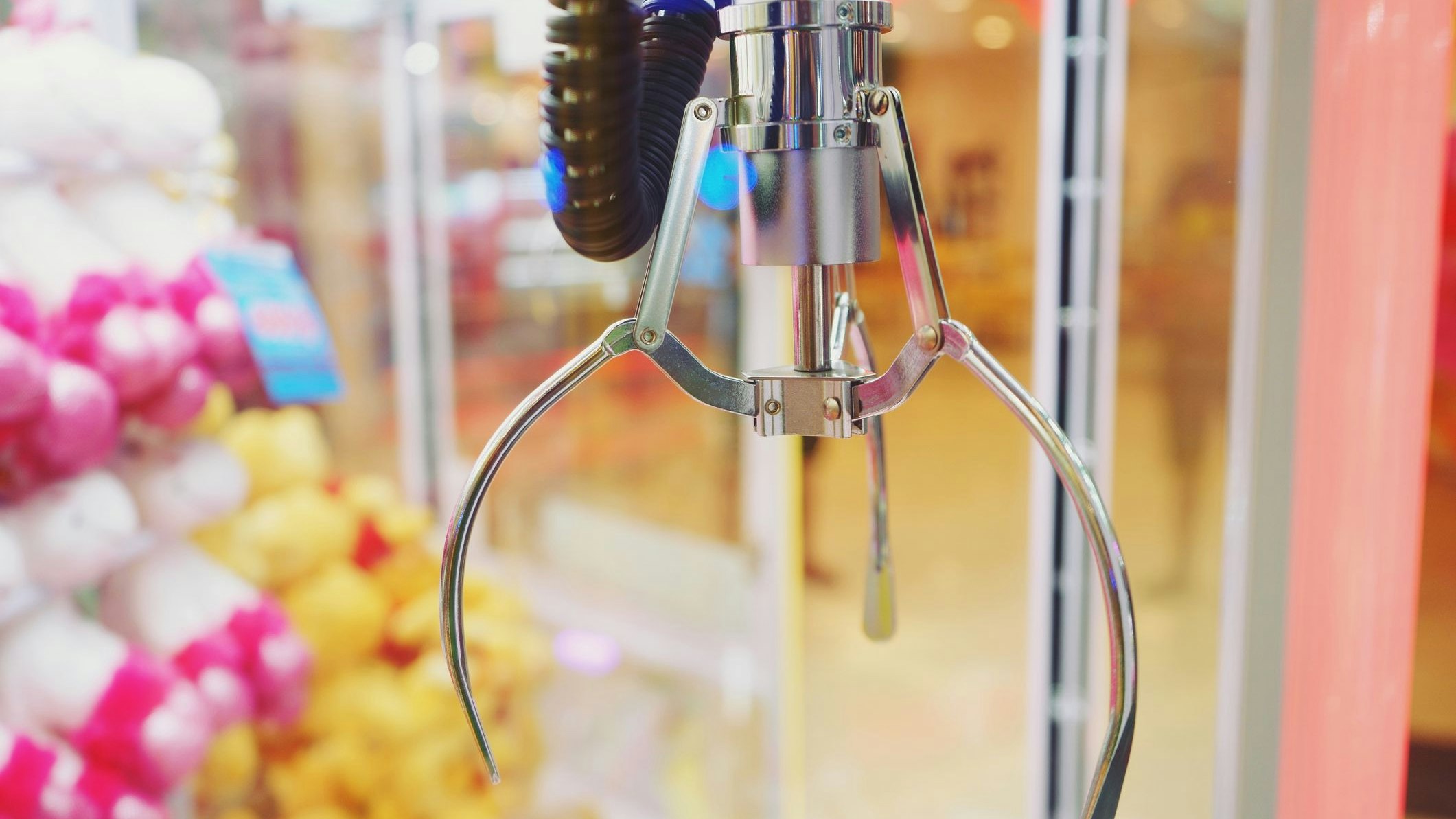 In dem Greifautomaten konnten lebende Hamster gegriffen werden. 