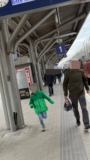 S-Bahn-Chaos in Wien: Rettungseinsatz sorgt für Zugausfälle in Meidling. ÖBB bestätigt Störungen, Betrieb läuft großteils wieder normal.