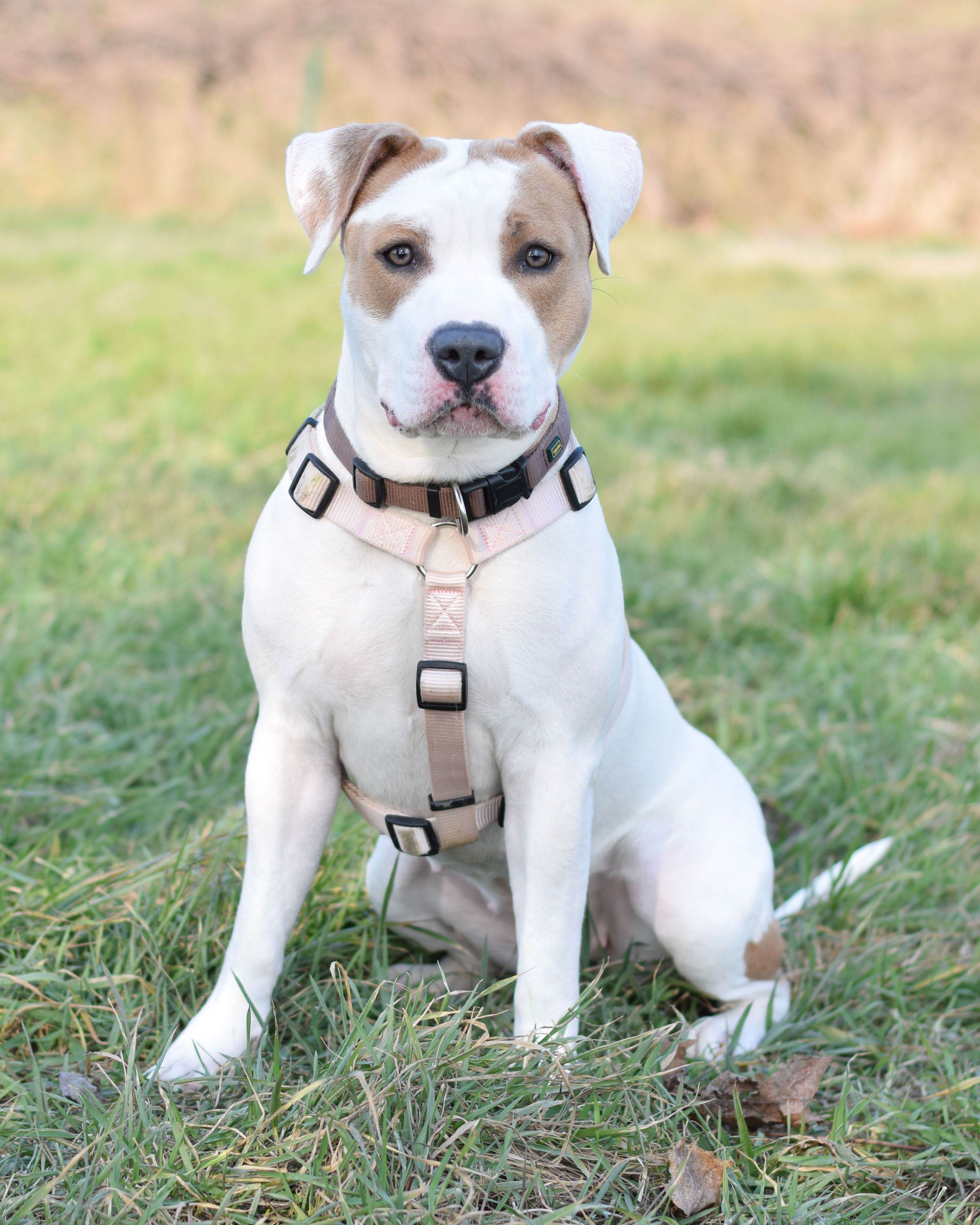 Heute.at - Minze wurde herzlos ihrem Schicksal überlassen