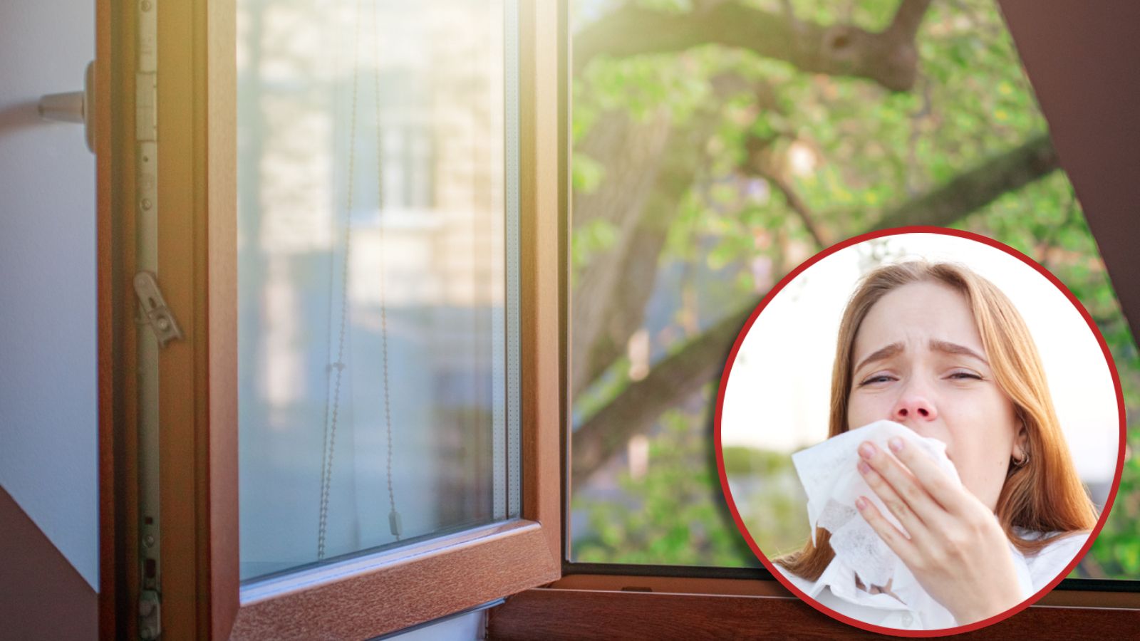 Heute.at - 9 easy Tipps, wie du die Pollenzeit besser überstehst