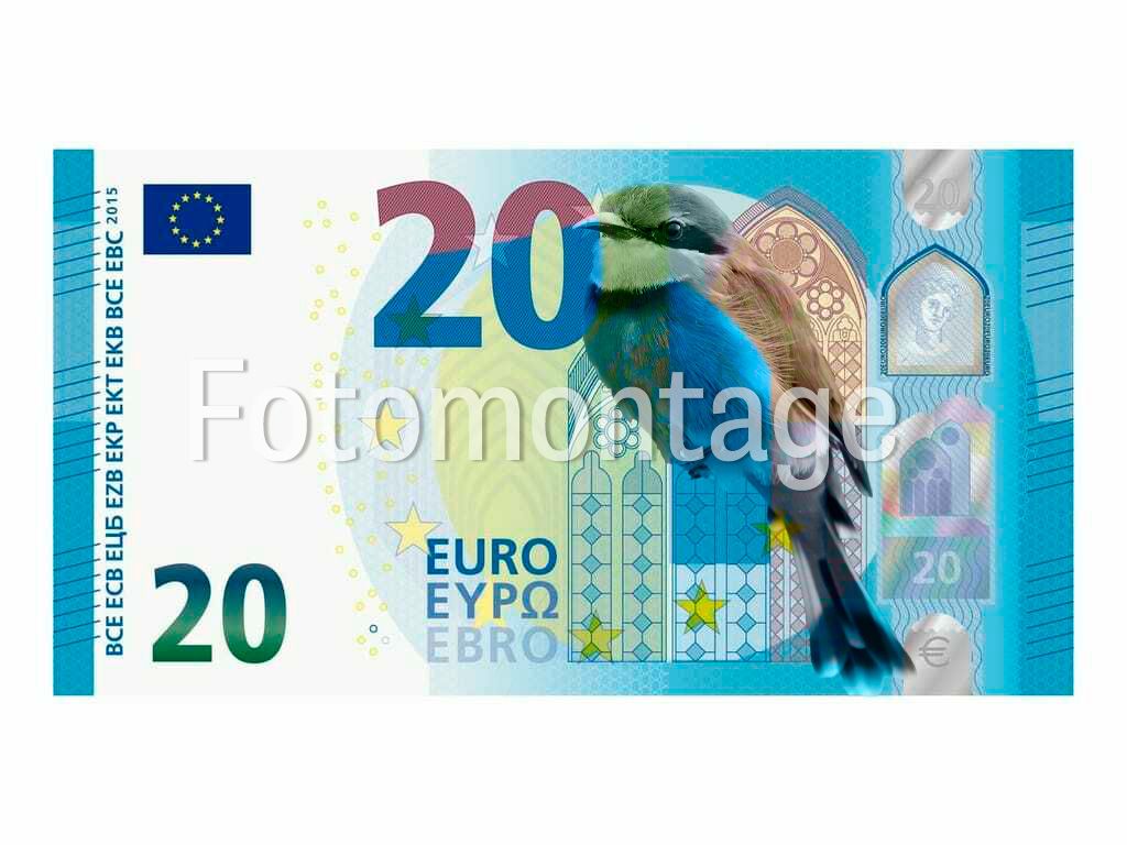 Große Ehre für den Bienenfresser: Der bunte Zugvogel könnte am neuen 20-Euro-Schein landen (Fotomontage).