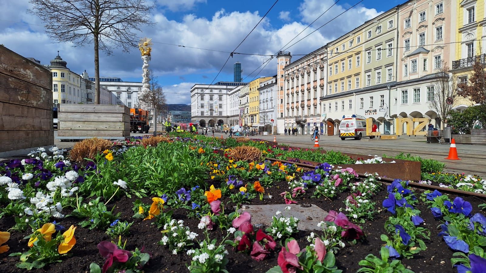In Linz wurden in den vergangenen Tagen zehntausende Blume gepflanzt.