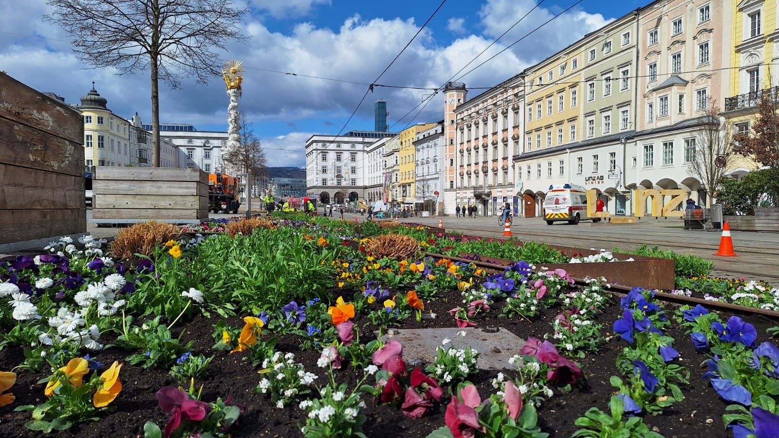 In Linz wurden in den vergangenen Tagen zehntausende Blume gepflanzt.