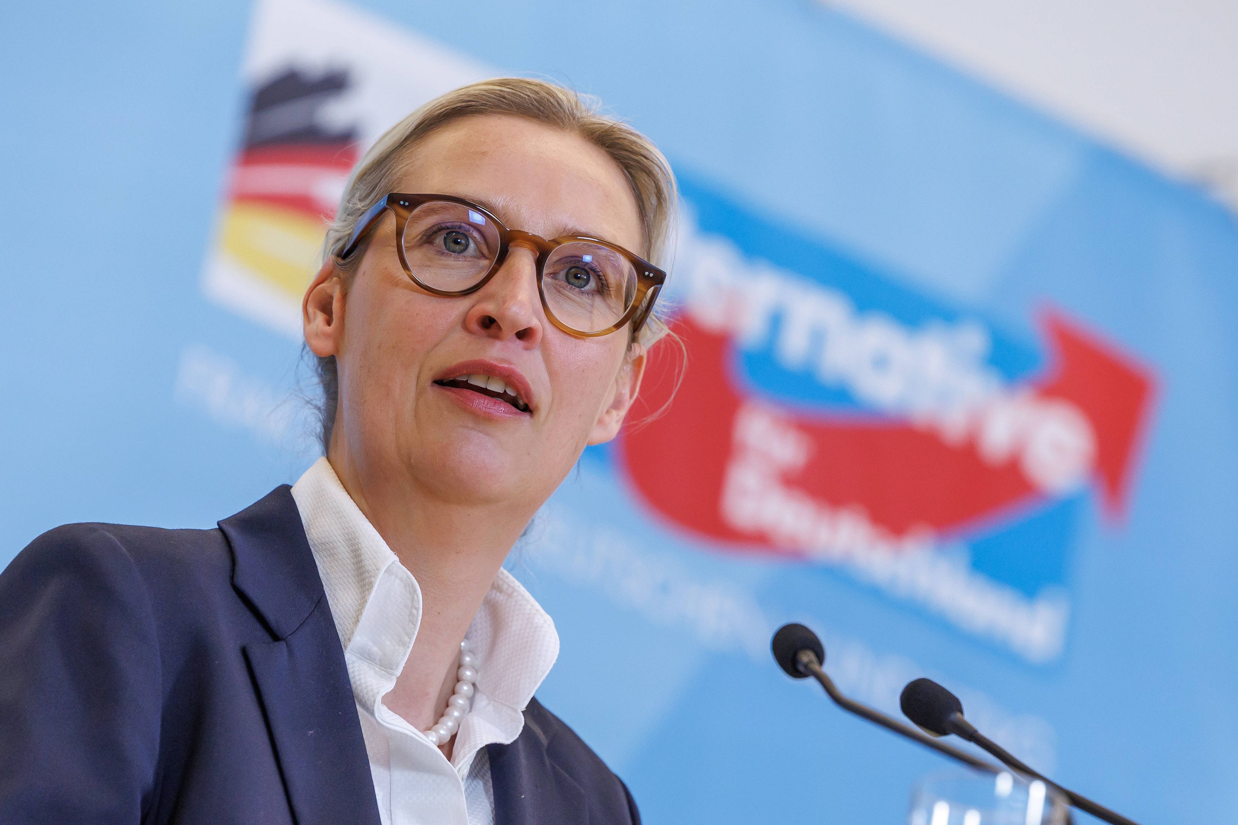 Auf TikTok verbreitet ein gesteuertes Netzwerk Alice-Weidel-Propaganda – viele Accounts posten aus Nigeria.