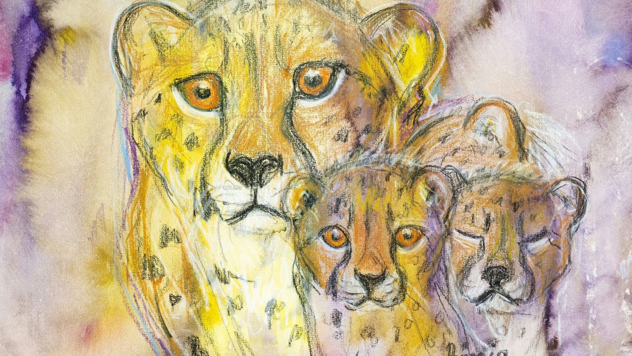 "Bei den Geparden habe ich einen innigen Moment festgehalten. Die Jungtiere haben sich gerade an ihre Mutter gekuschelt. Einer ist schon eingeschlafen, der zweite hat noch neugierig hergeblinzelt".