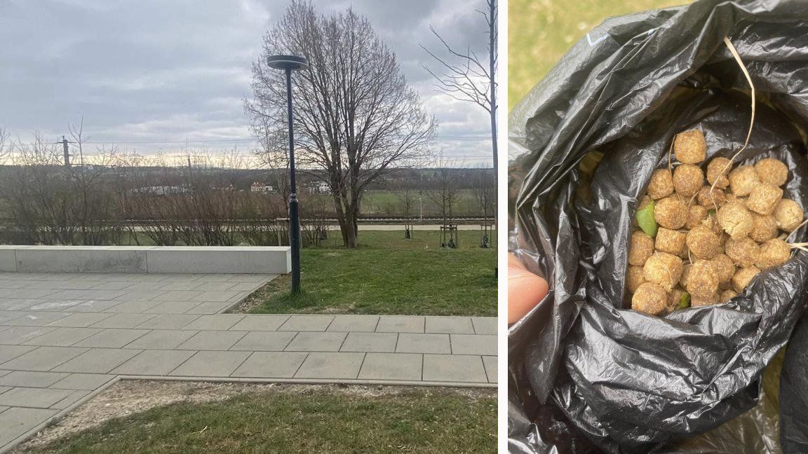 In Wien-Favoriten wurden verdächtige Gegenstände gefunden. Es soll sich um Giftköder handeln.