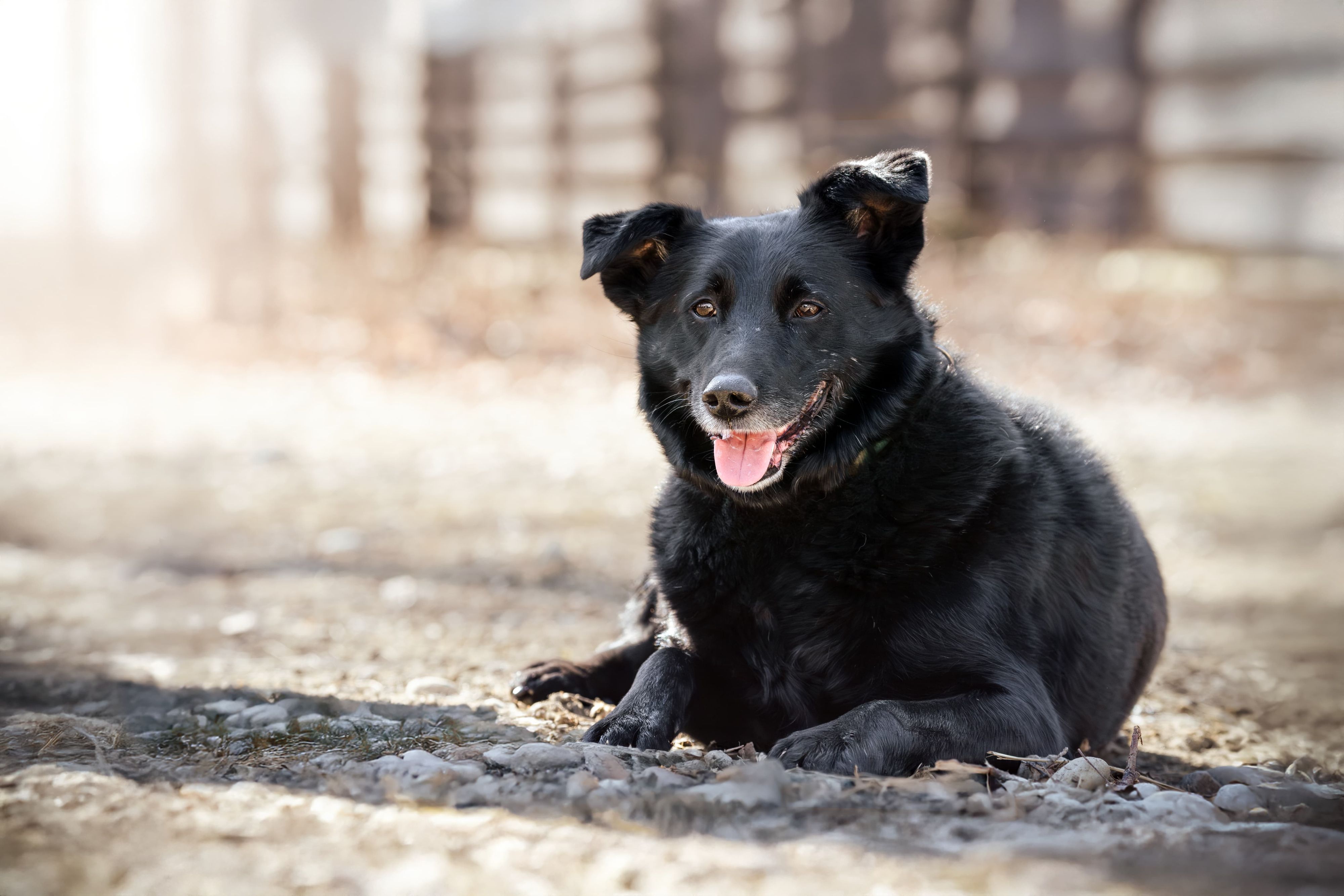 Seit dem Frühjahr 2024 wurde intensiv mit dem armen 