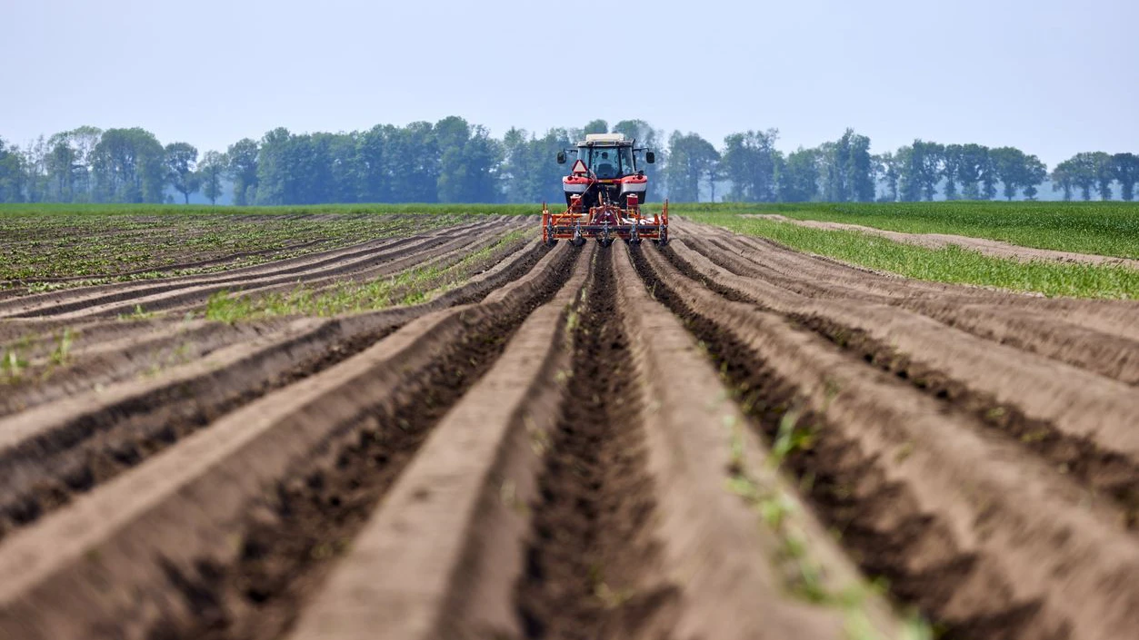 Alle schauen nur aufs Öl, aber Krise ist auch anderswo