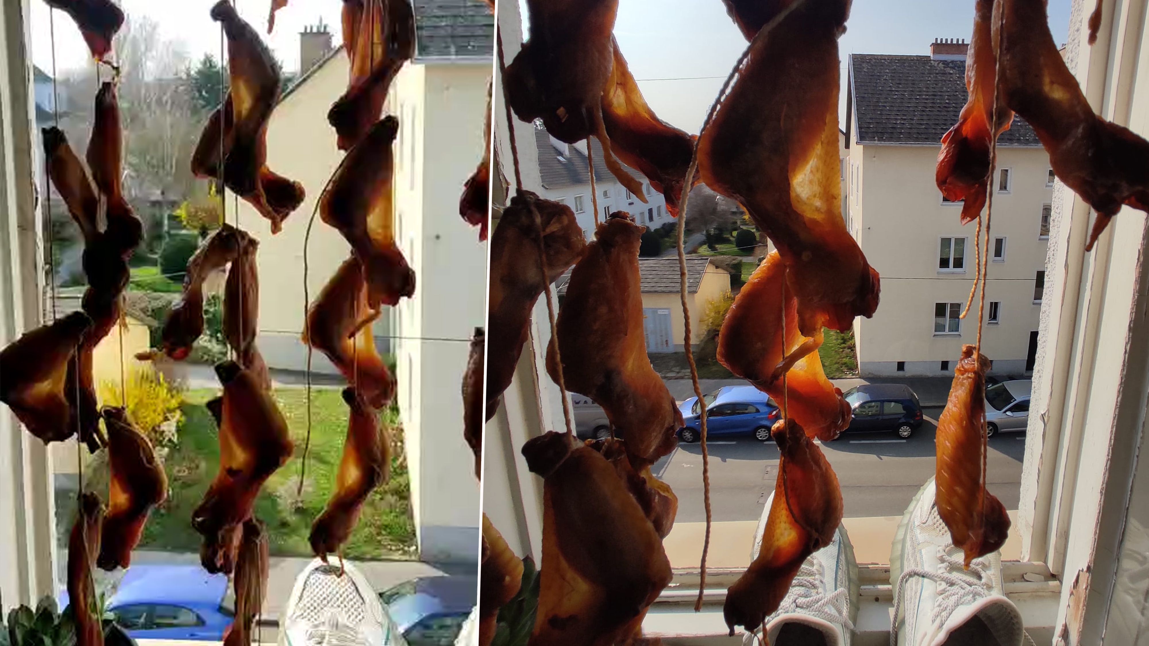 Hängende Hühnerflügel in einer Waschküche in Wien-Favoriten.