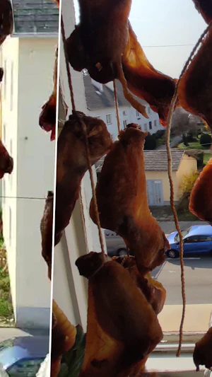 Fleischlagerung in Favoriten: Skurrile Szenen sorgen für Ekel-Alarm im Wohnhaus. Behörden und Hausverwaltung reagieren auf Beschwerden.