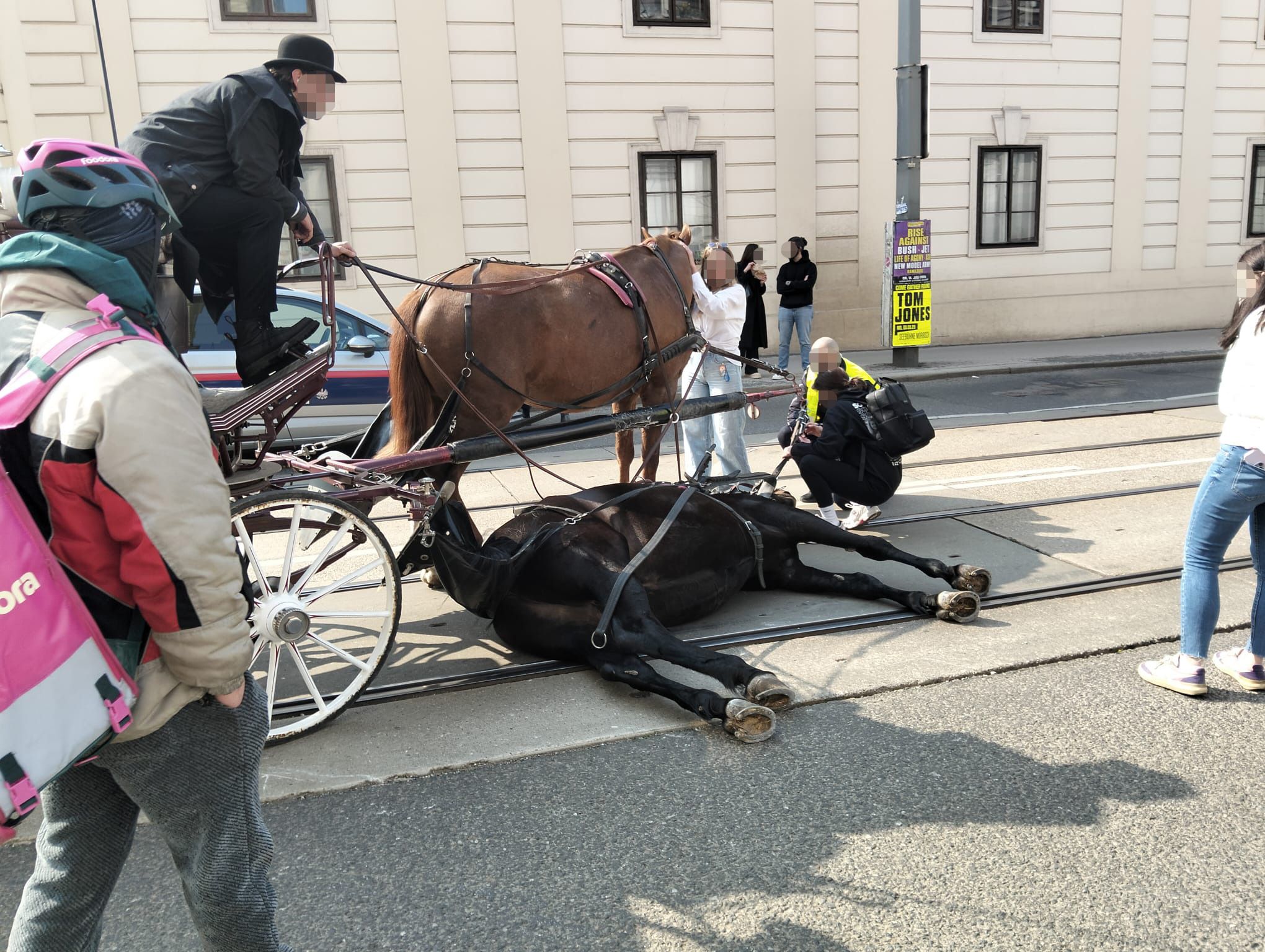 Schreckmoment am Rennweg: Pferd stürzt bei Fiaker-Fahrt