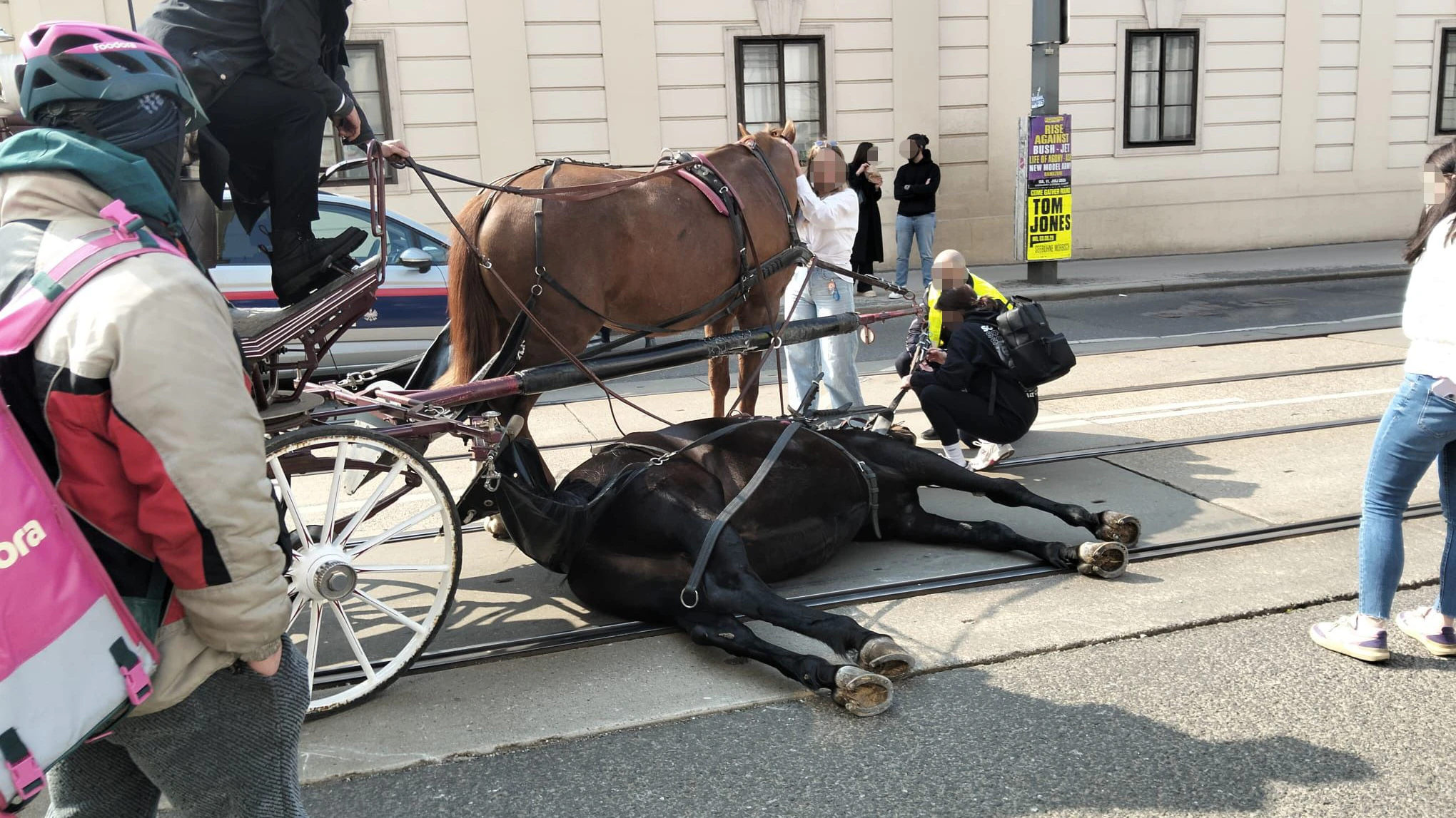 Schreckmoment am Rennweg: Pferd stürzt bei Fiaker-Fahrt