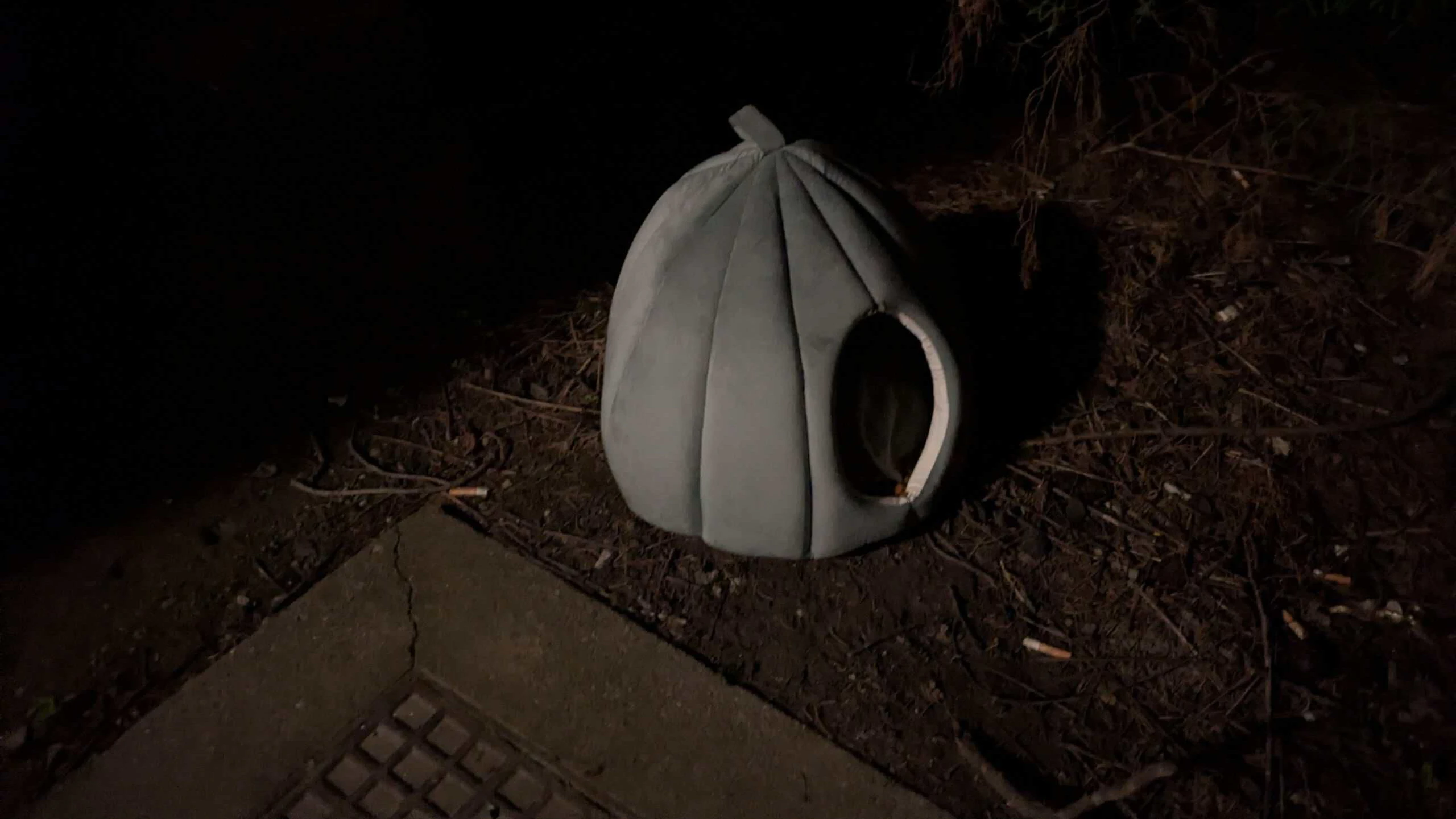 Hier wurde "Feelinara" gefunden – ganz in der Nähe ihrer Familie.