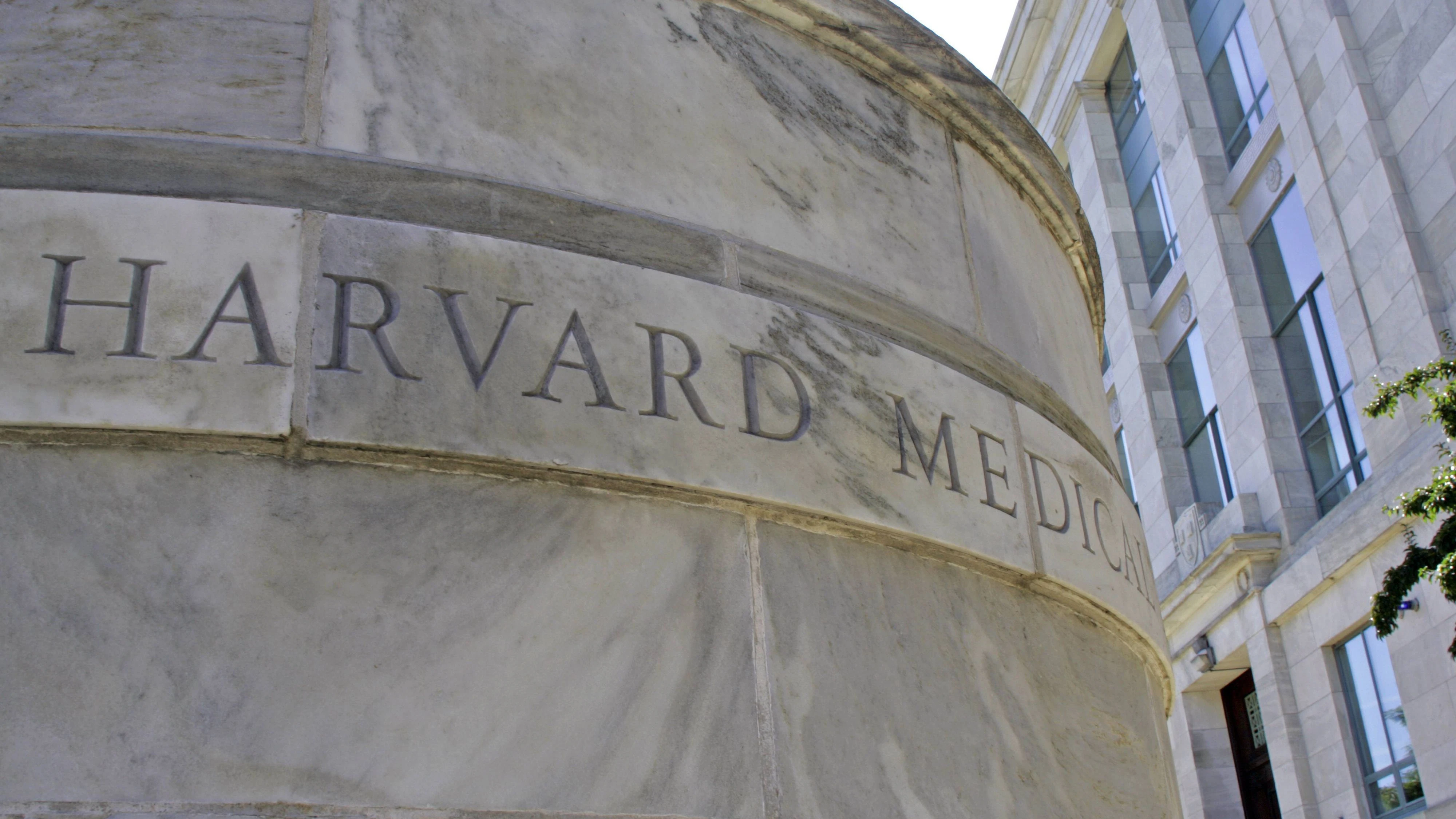 Die US-Regierung hat eine Klage gegen die Harvard-Universität eingebracht. (Symbolbild)