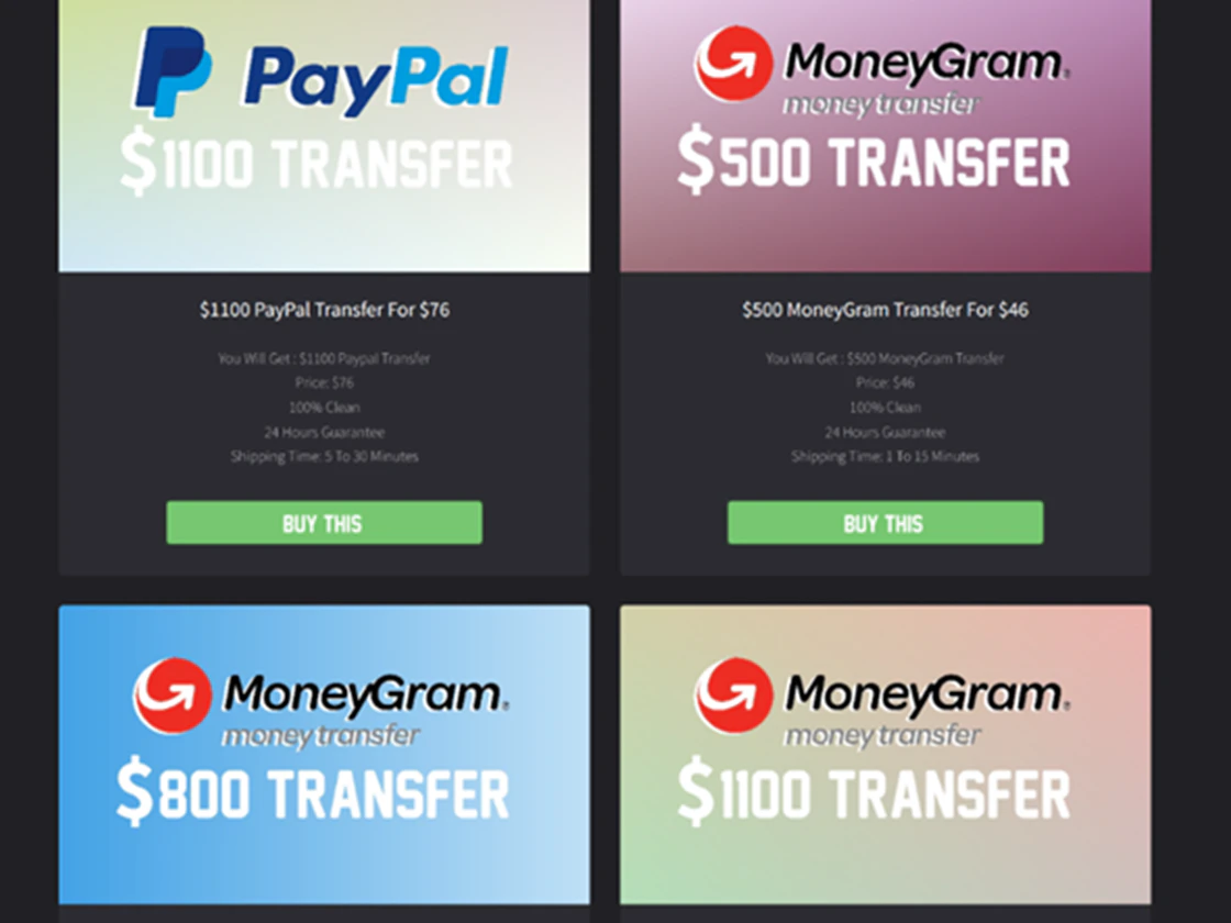 Eine der Darknet-Seiten, die lahmgelegt wurden. 