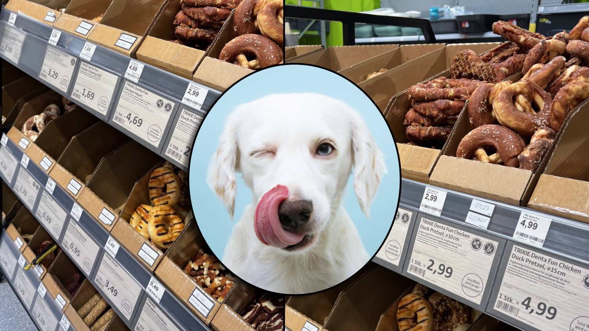 Donuts und Brezeln! Für Hundehalter schon längst alltäglich.