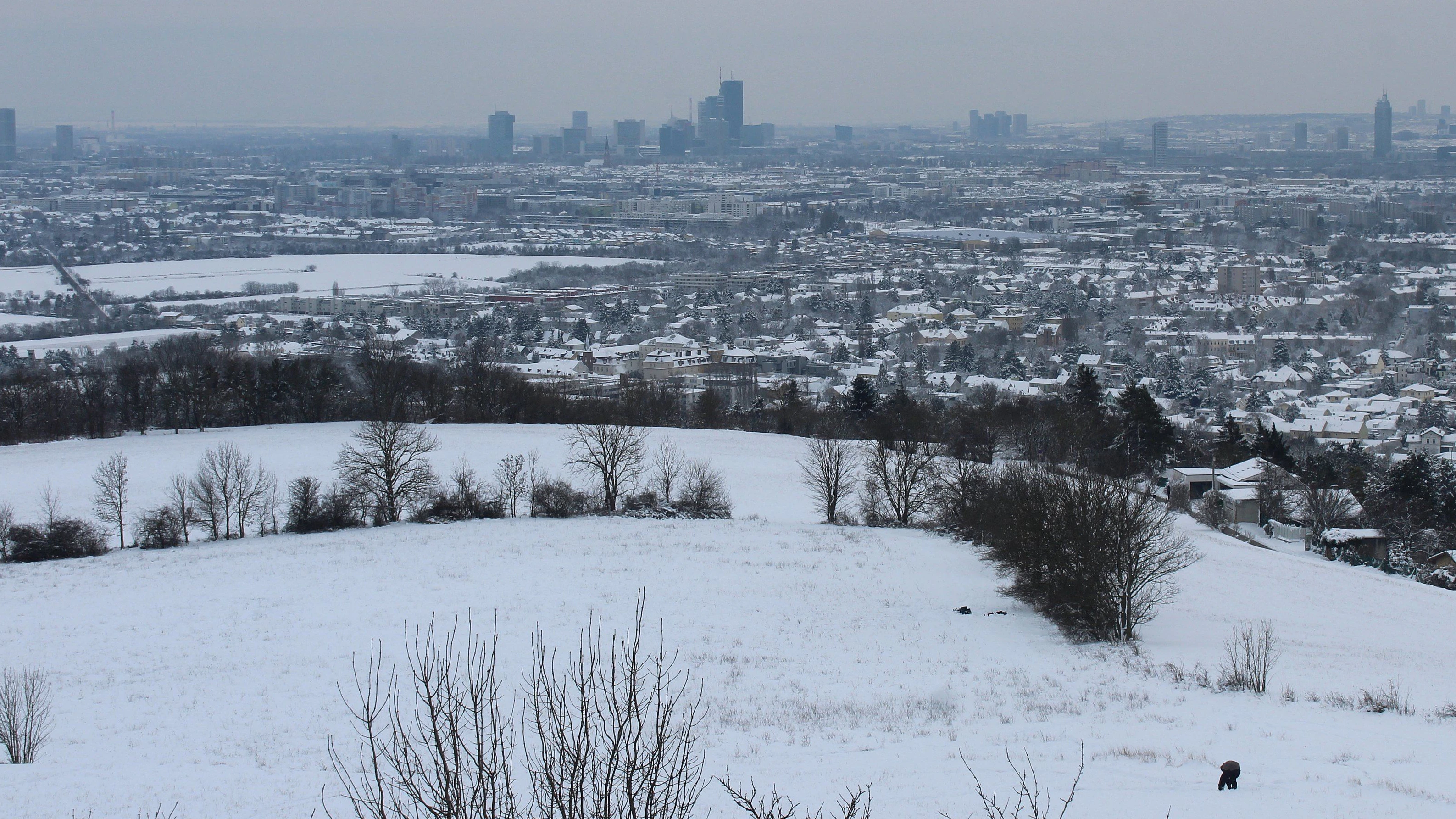Schon am 20. Februar 2026 hatte ein Winter-Einbruch auch die Bundeshauptstadt Wien eingeschneit.