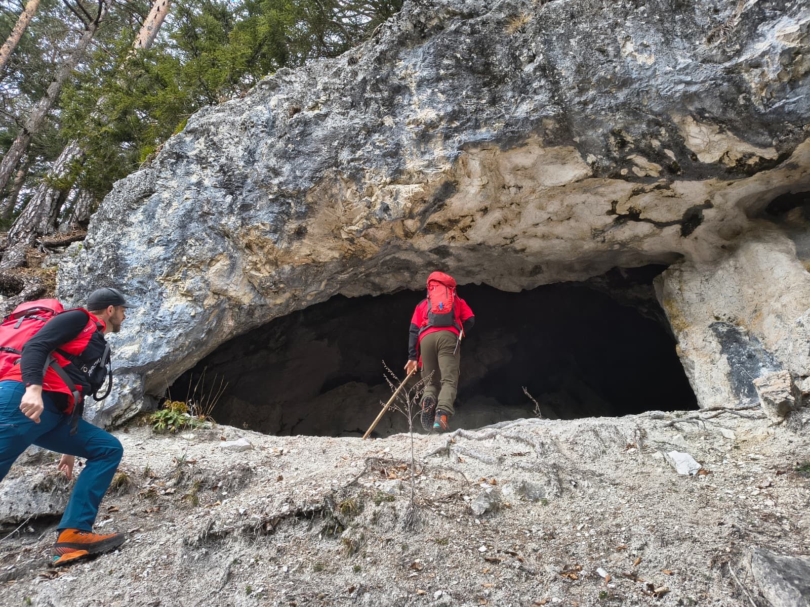 Frau vermisst: Großer Sucheinsatz in NÖ