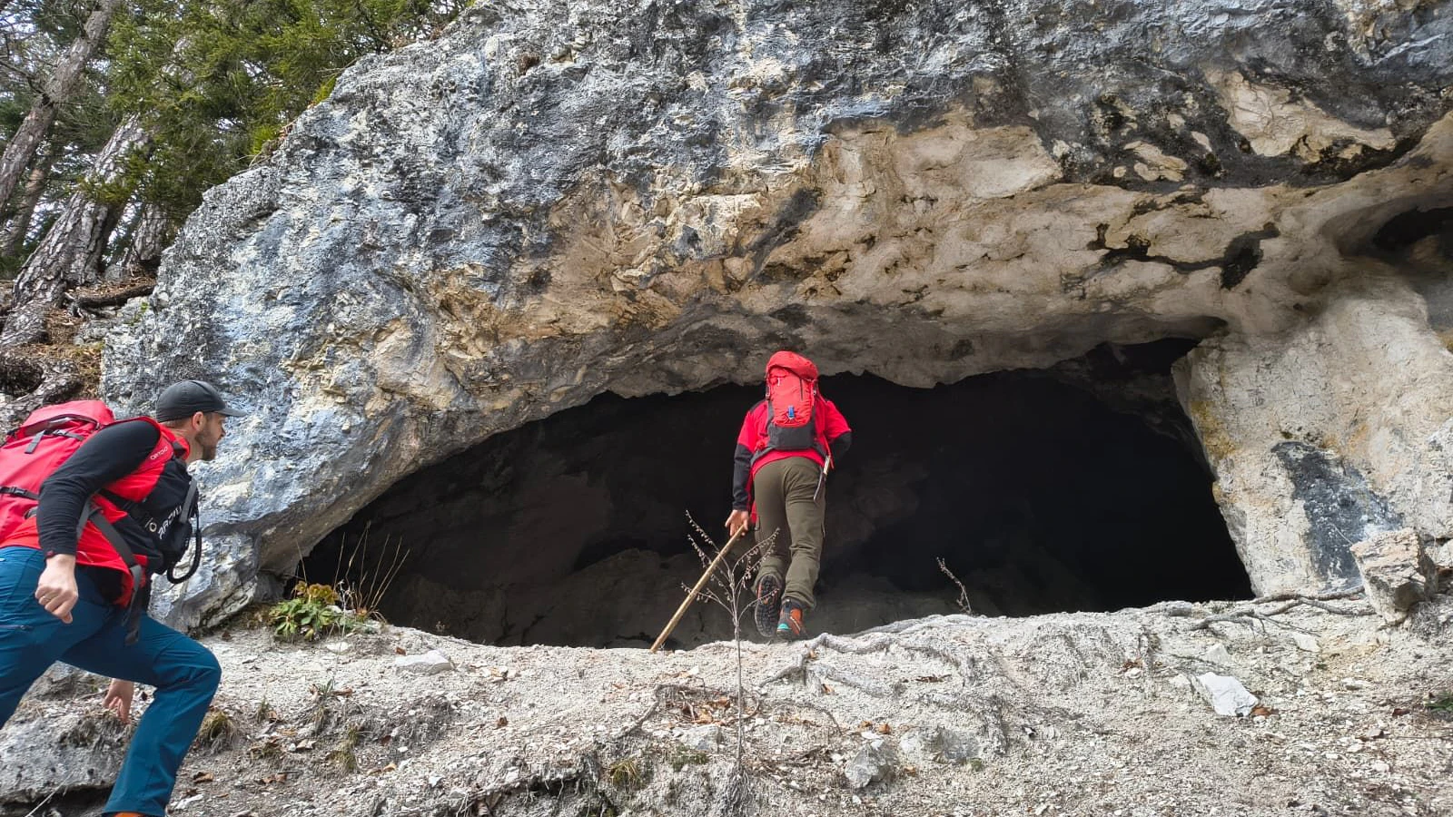 Frau vermisst: Großer Sucheinsatz in NÖ