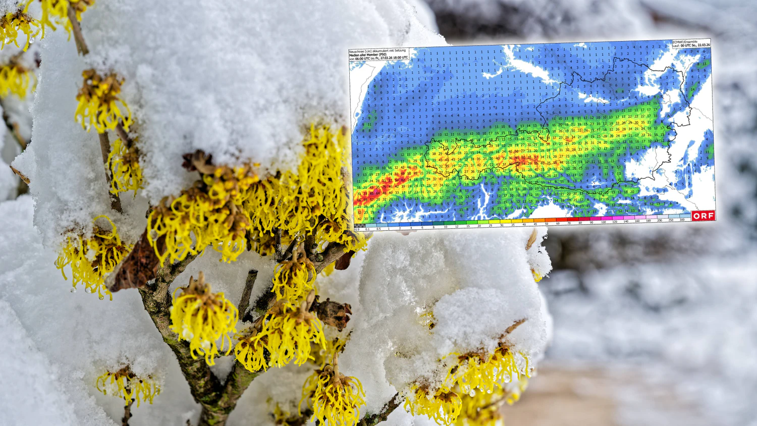 Der Schnee kommt zurück. 