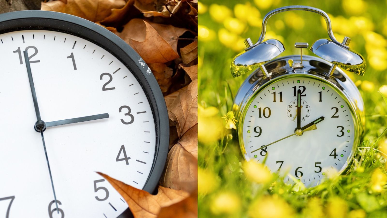 Nicht jede Uhrzeit tut uns gleich gut. Eine Variante bringt den Biorhythmus besonders durcheinander.