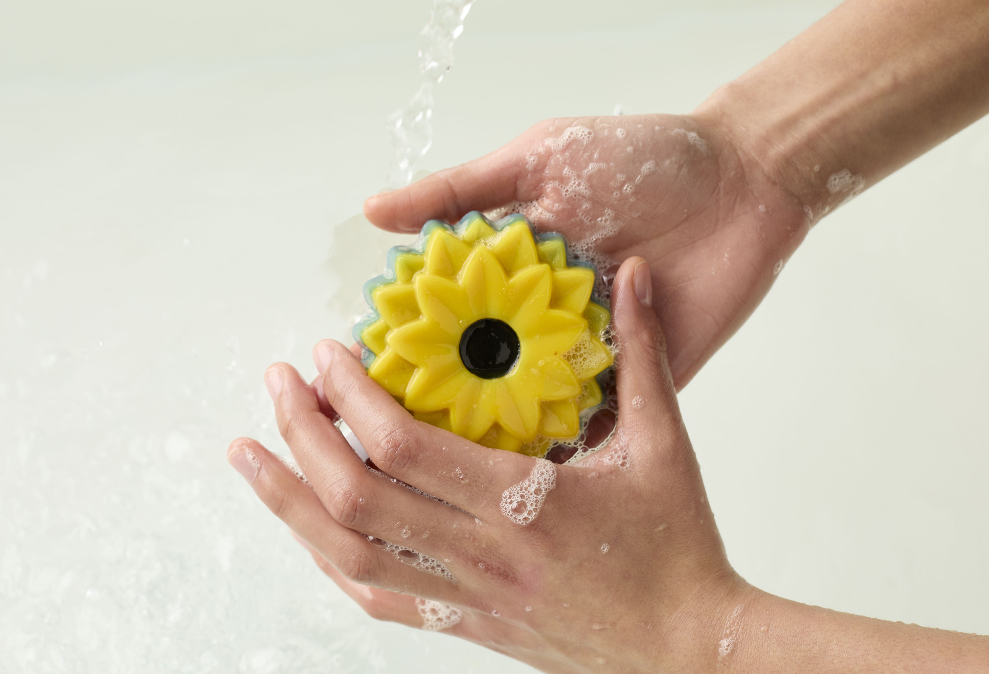 Die Sonnenblume ist die nationale Blume der <a data-li-document-ref=