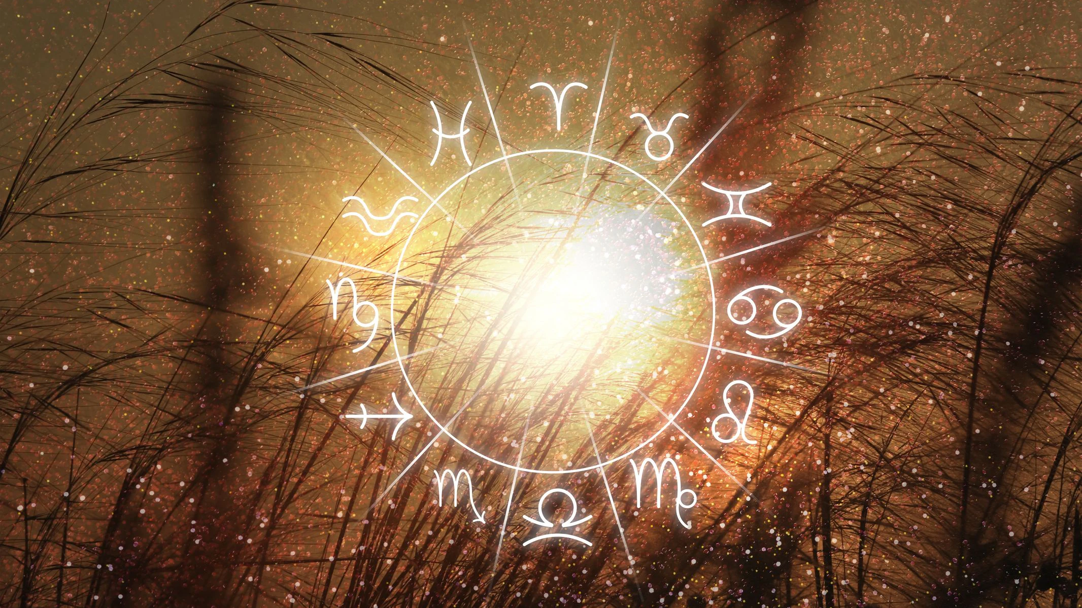Zodiac wheel with 12 astrological signs and constellations, beautiful view of plants during sunrise on background